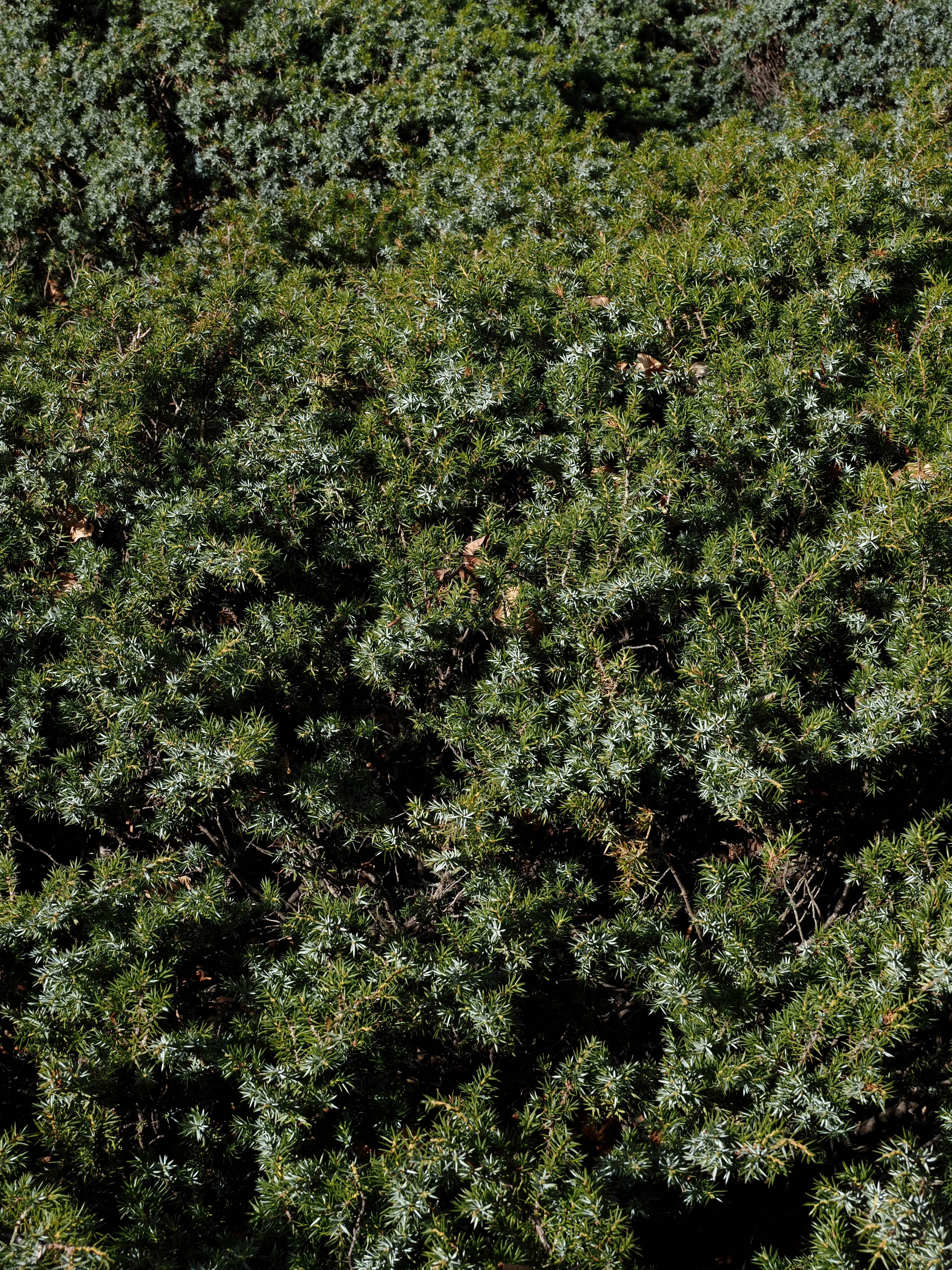 Dentro le Madonie con Matteo Orlando. Racconto visivo tra bellezza e mutamento