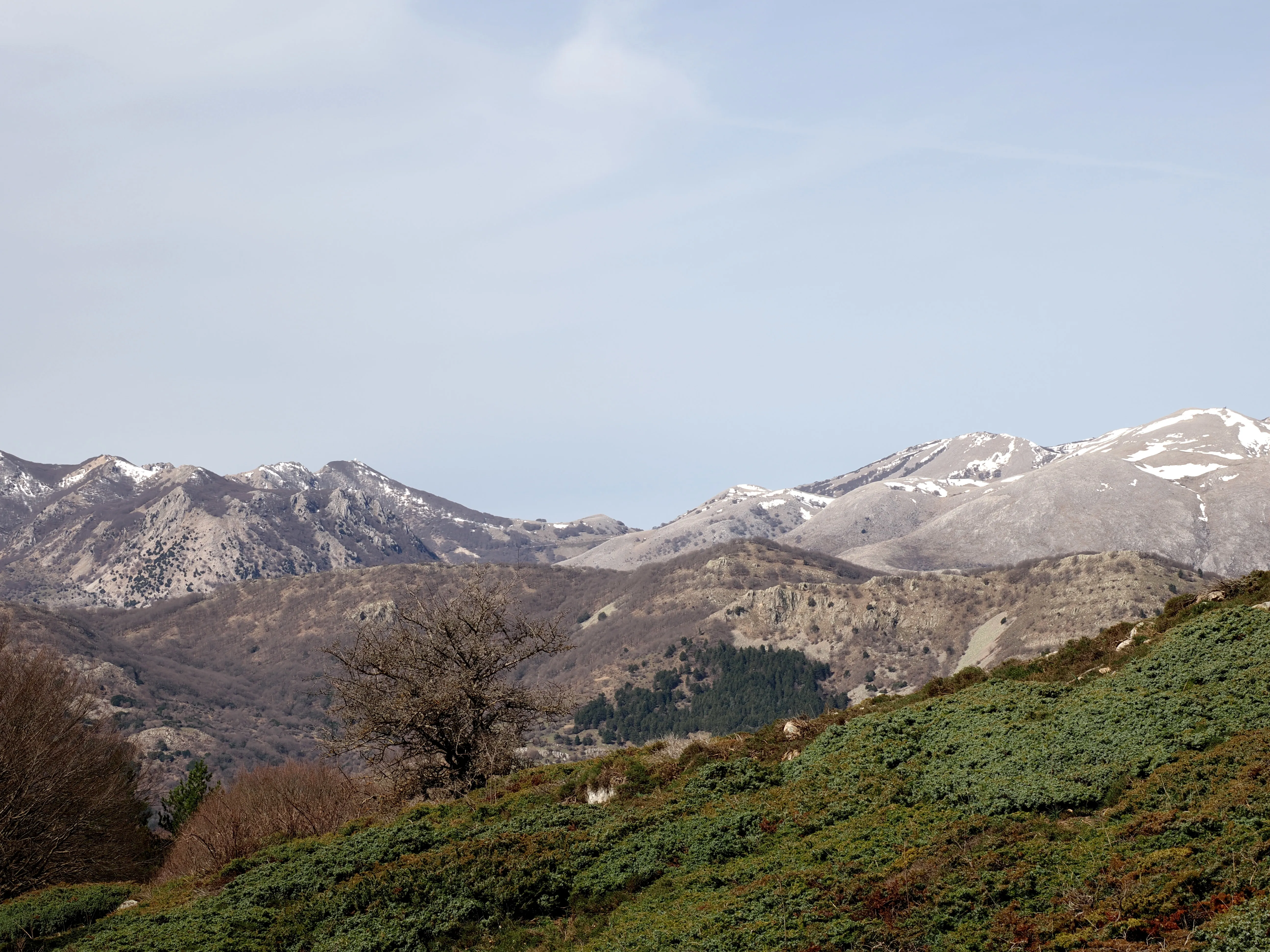 Dentro le Madonie con Matteo Orlando. Racconto visivo tra bellezza e mutamento