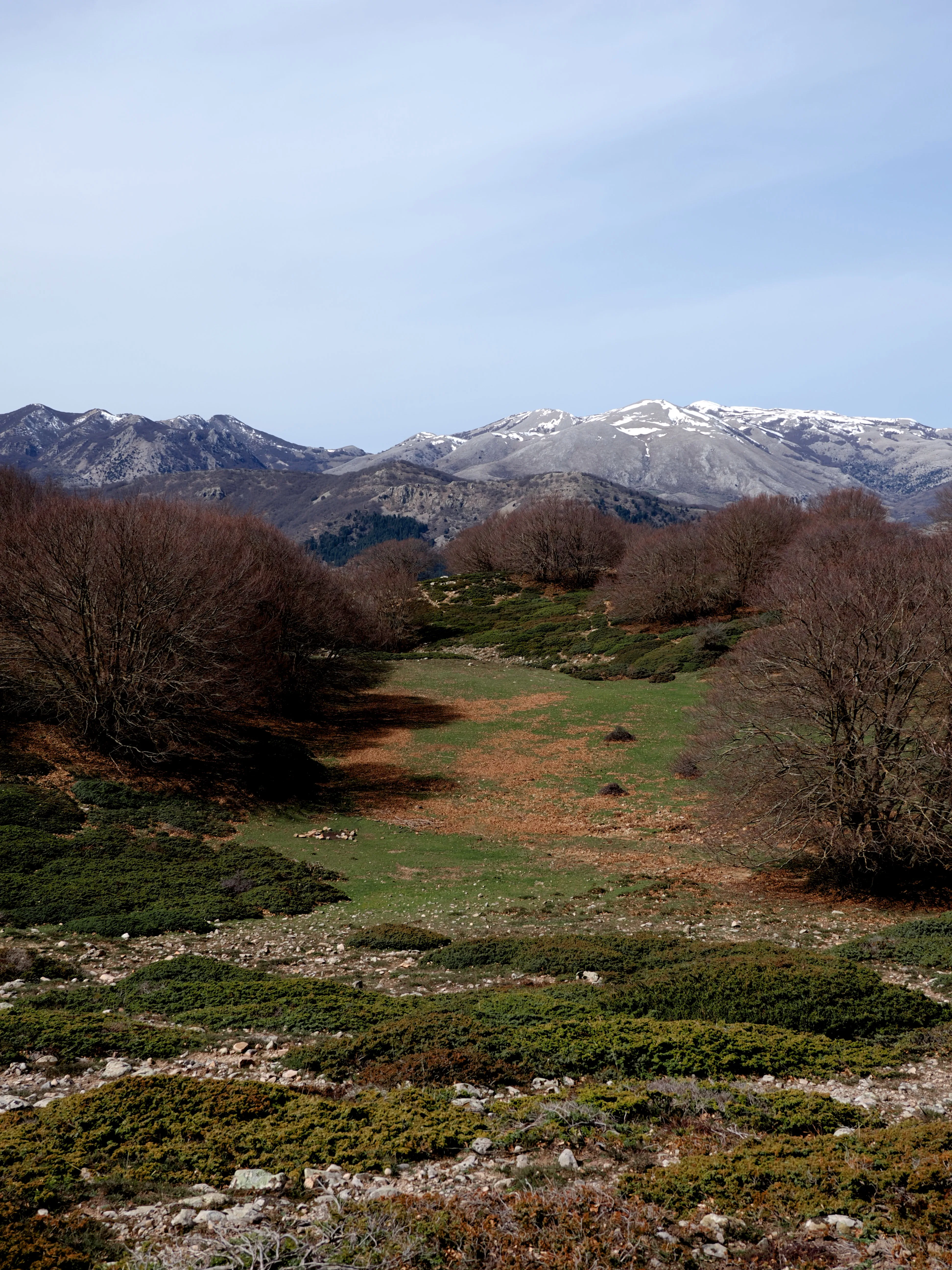 Dentro le Madonie con Matteo Orlando. Racconto visivo tra bellezza e mutamento