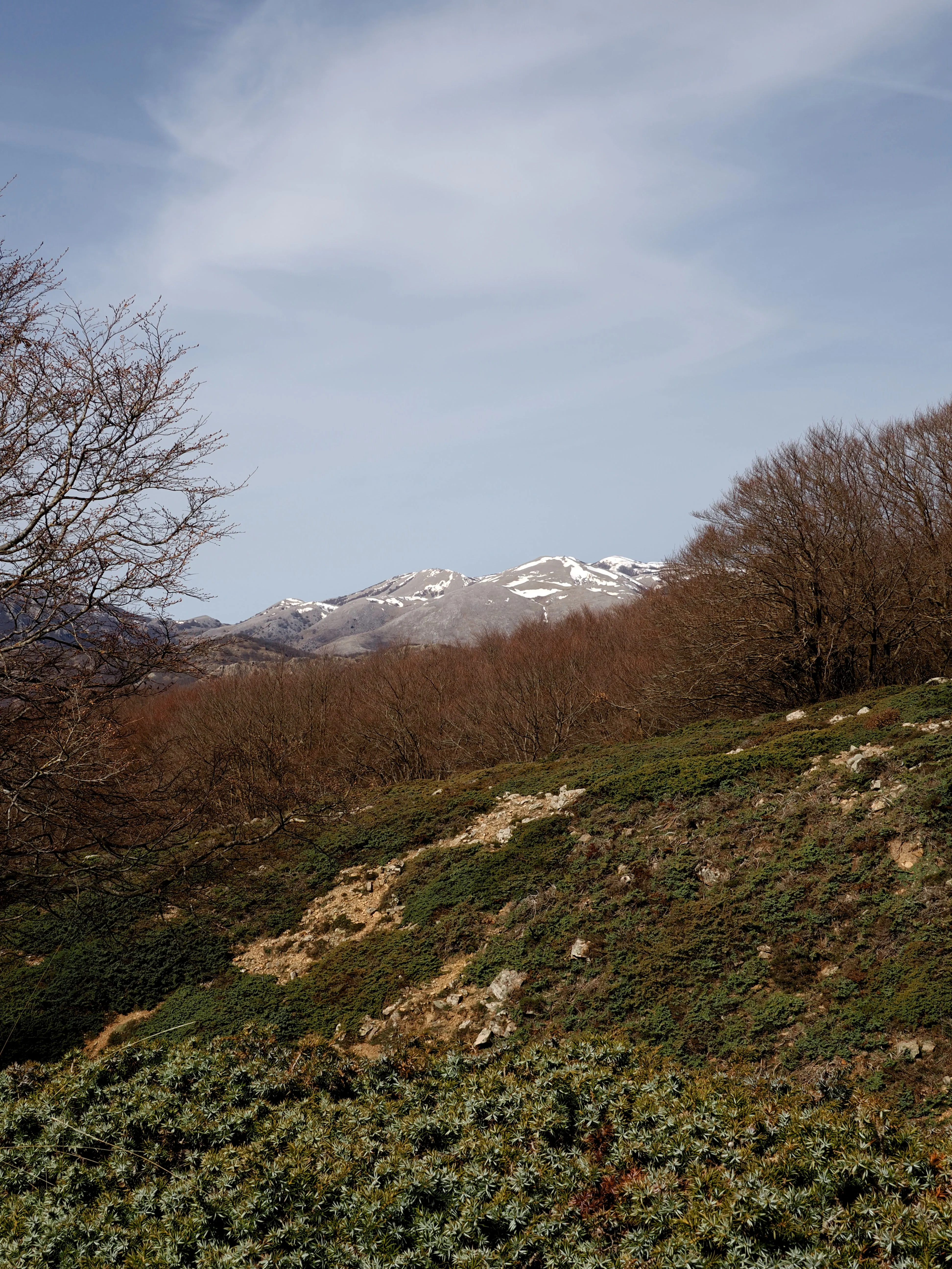 Dentro le Madonie con Matteo Orlando. Racconto visivo tra bellezza e mutamento