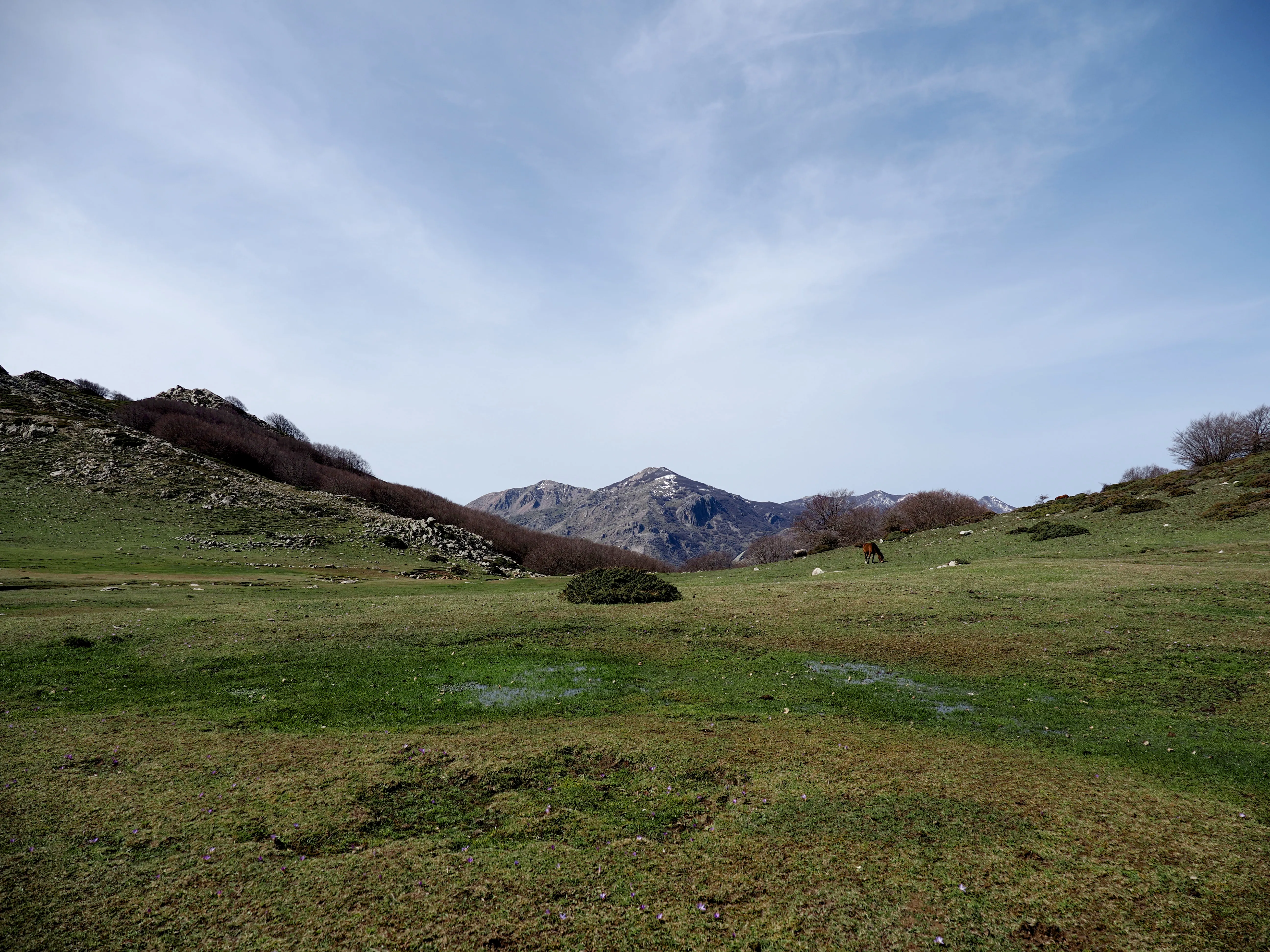 Dentro le Madonie con Matteo Orlando. Racconto visivo tra bellezza e mutamento