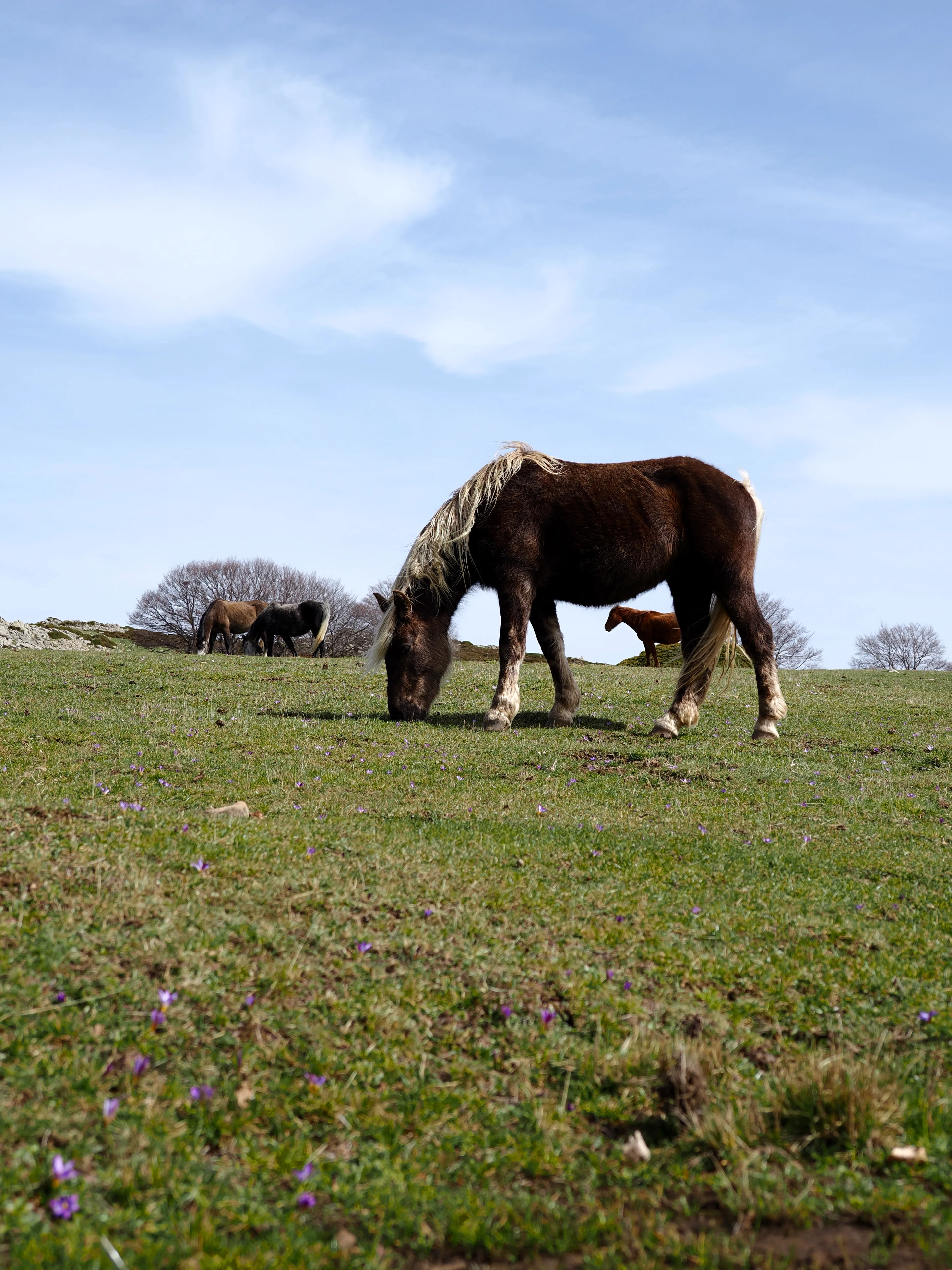 Dentro le Madonie con Matteo Orlando. Racconto visivo tra bellezza e mutamento
