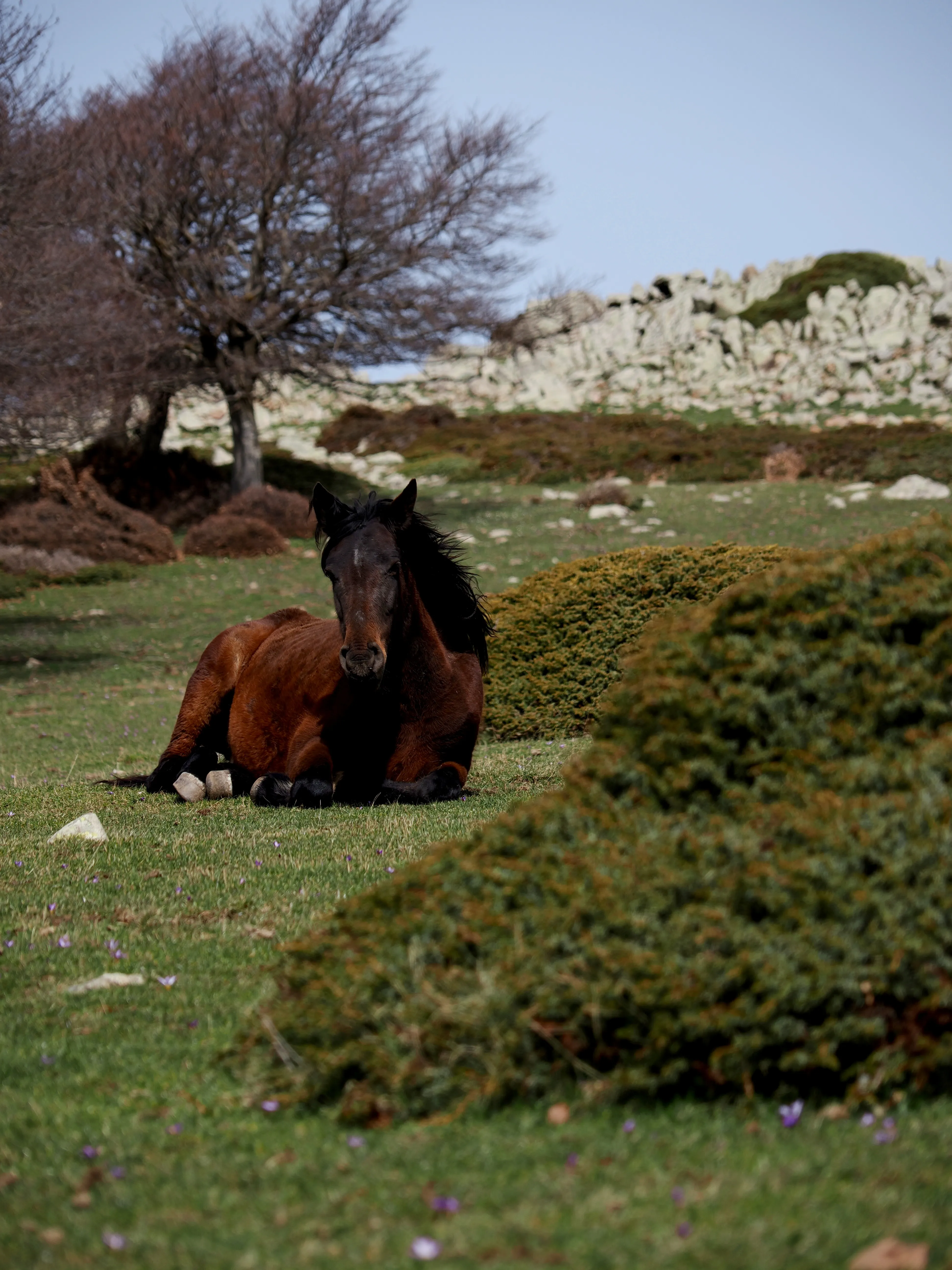 Dentro le Madonie con Matteo Orlando. Racconto visivo tra bellezza e mutamento