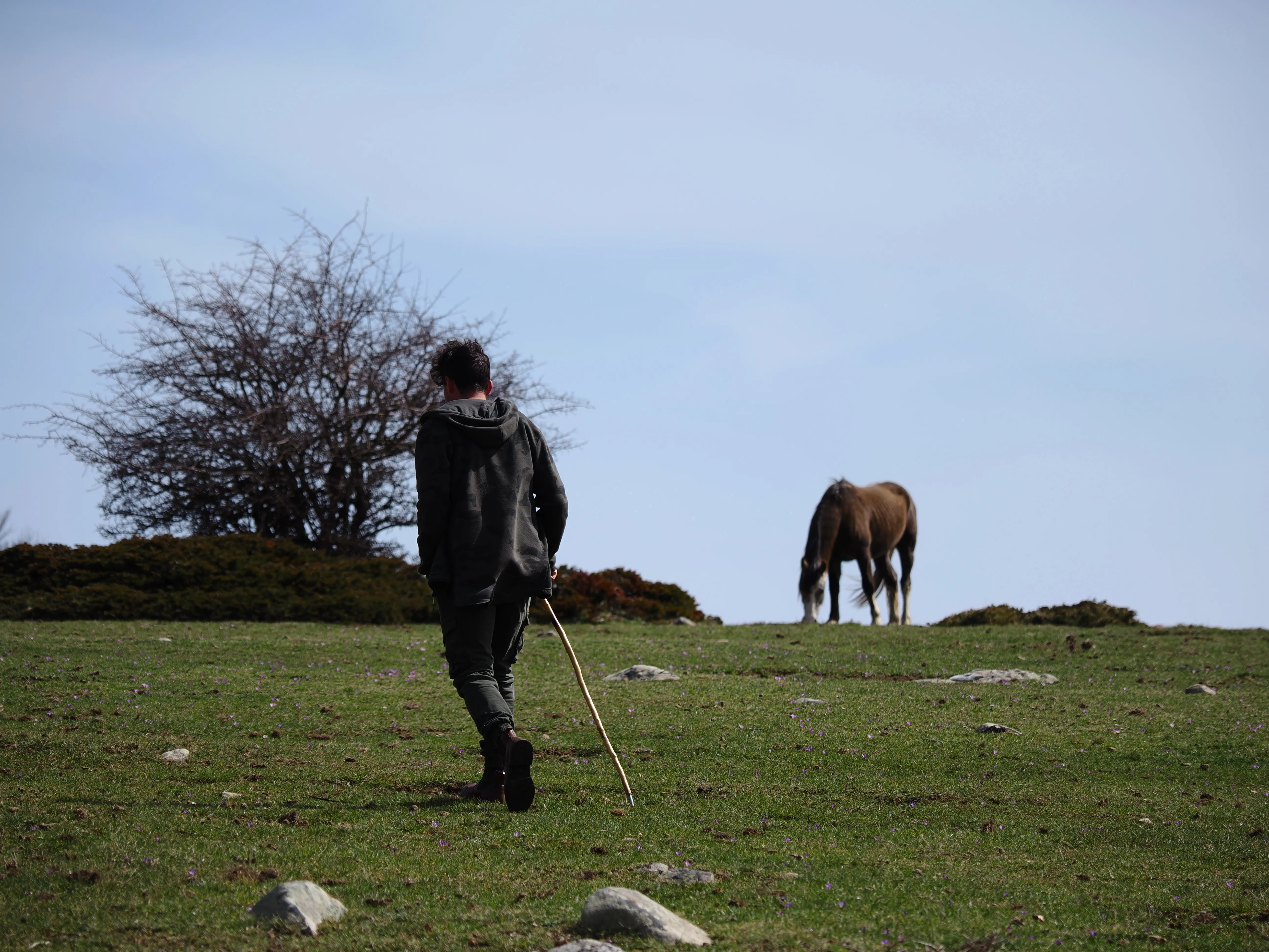 Dentro le Madonie con Matteo Orlando. Racconto visivo tra bellezza e mutamento