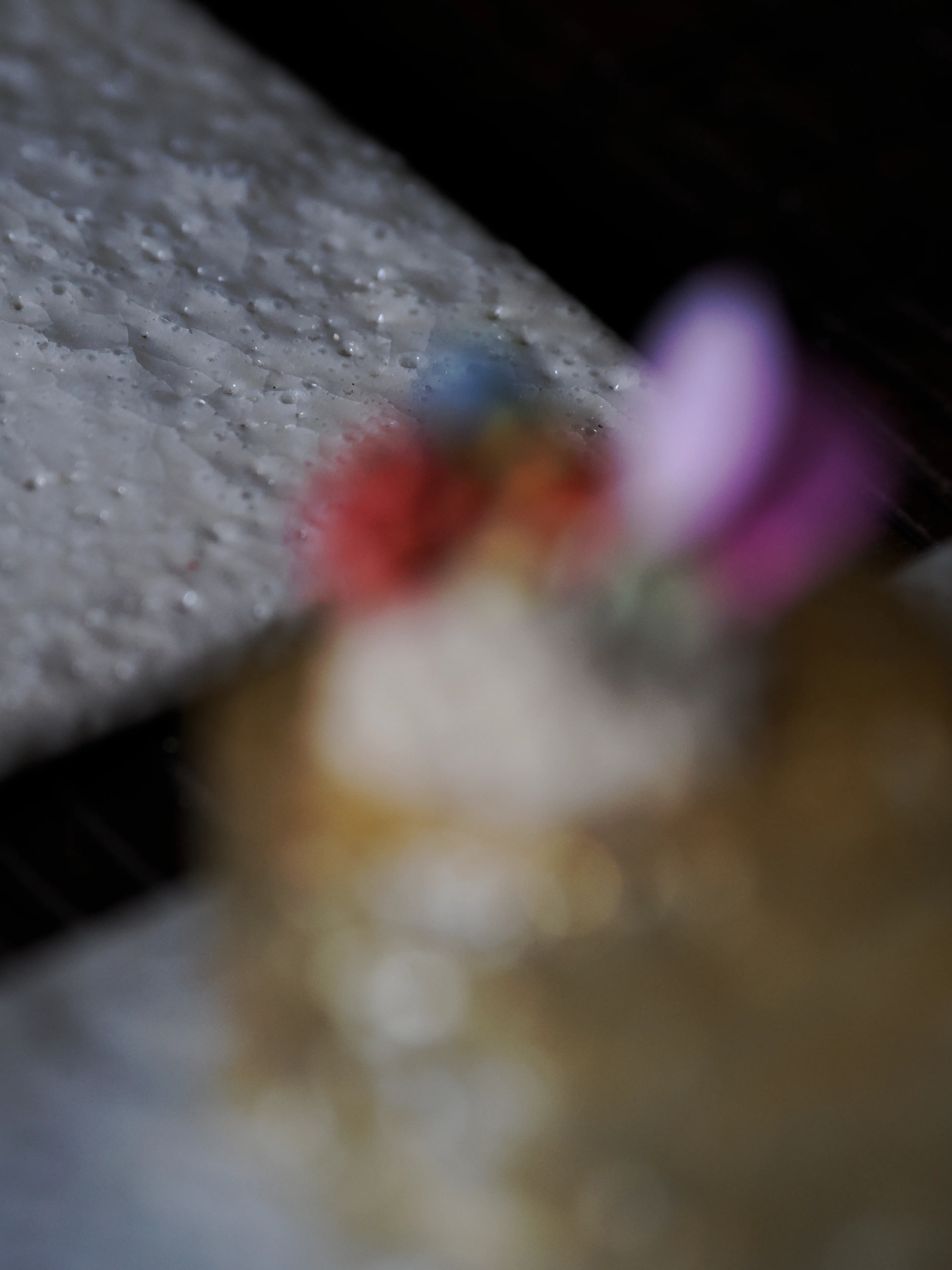 Régis Baudy. Lo chef artista e la sua poetica del vegetale.