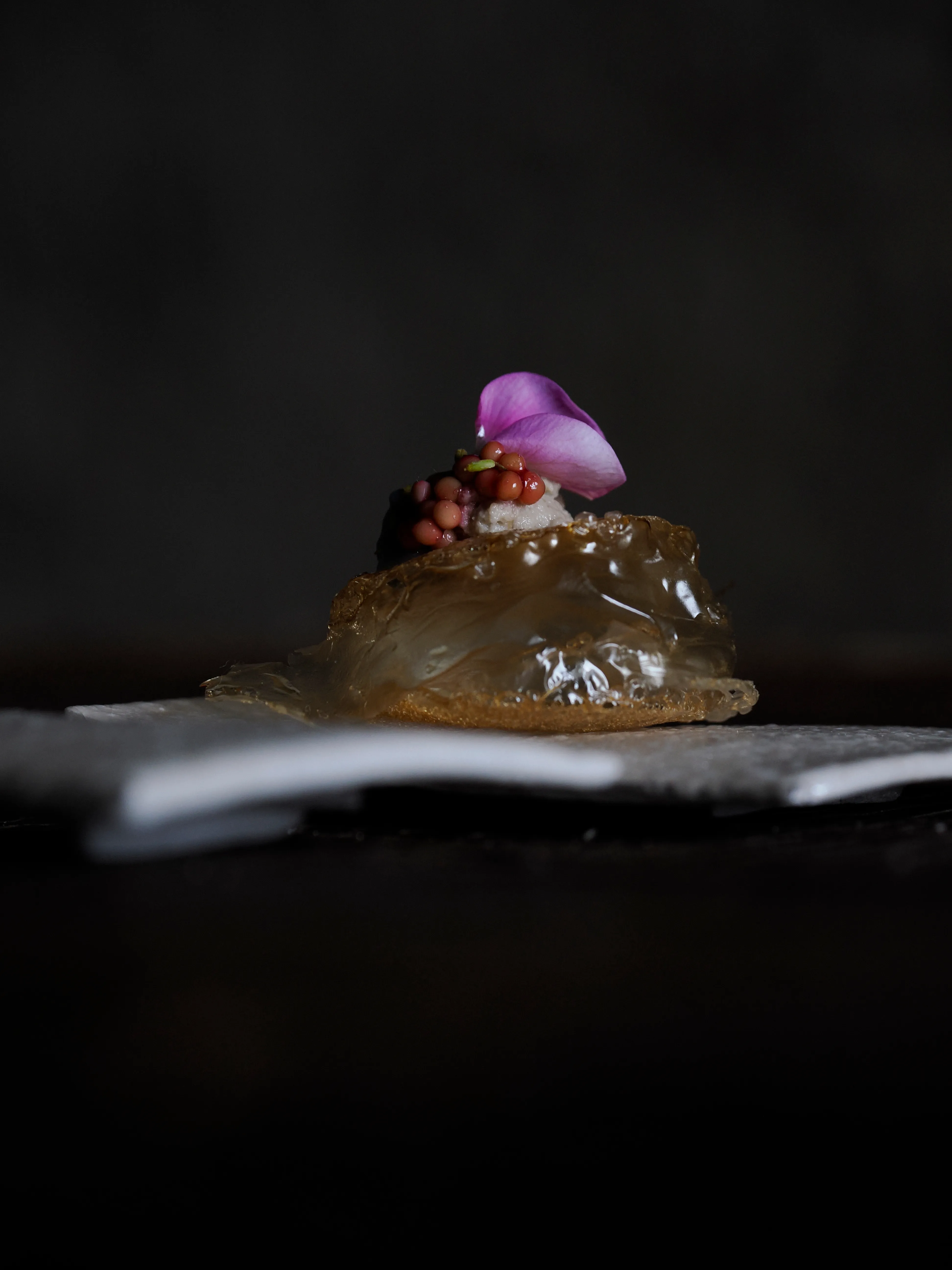 Régis Baudy. Lo chef artista e la sua poetica del vegetale.