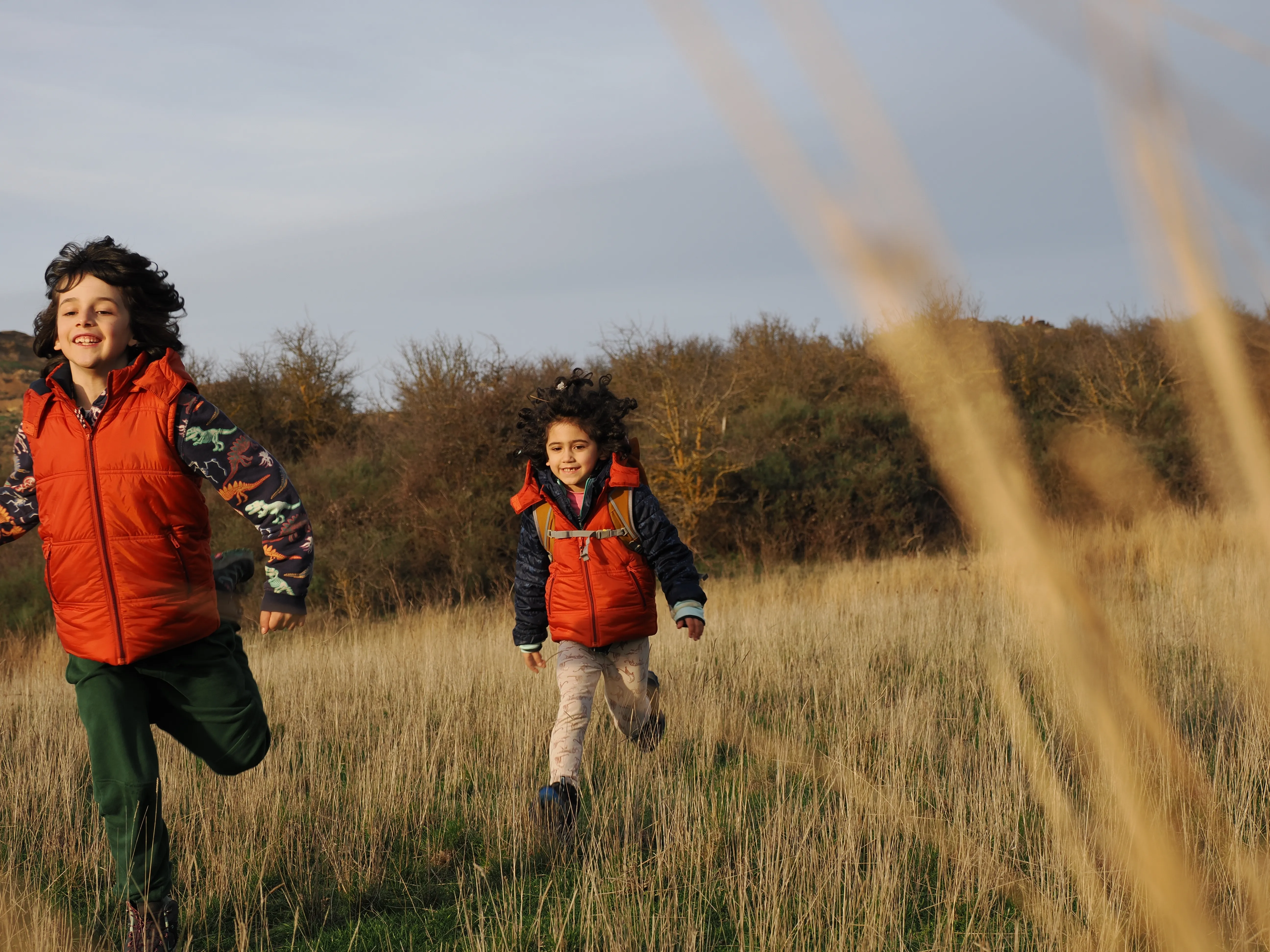 Dwelling in Nature with Olympus