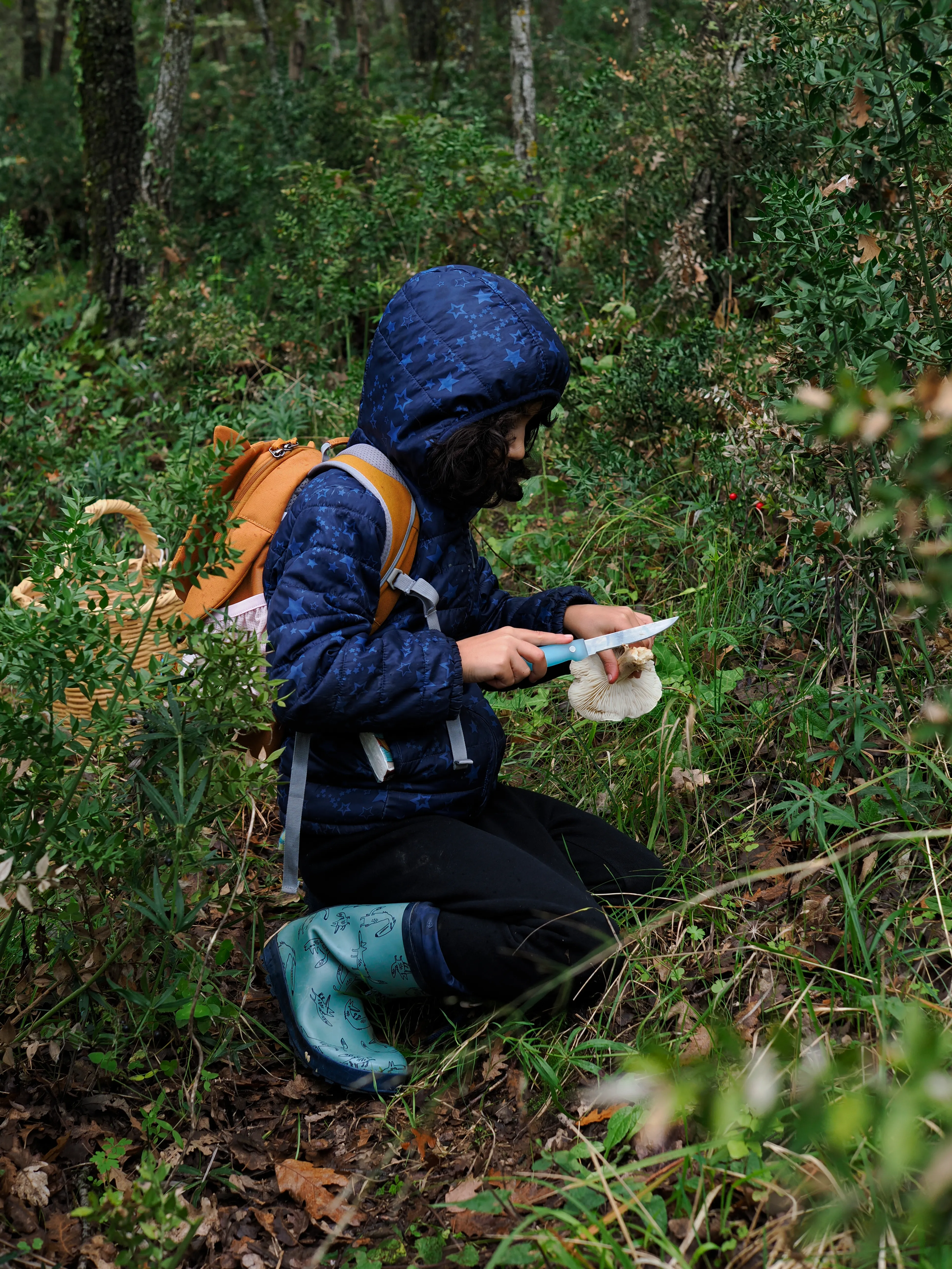 Nel bosco di cerri. La natura che insegna e cresce