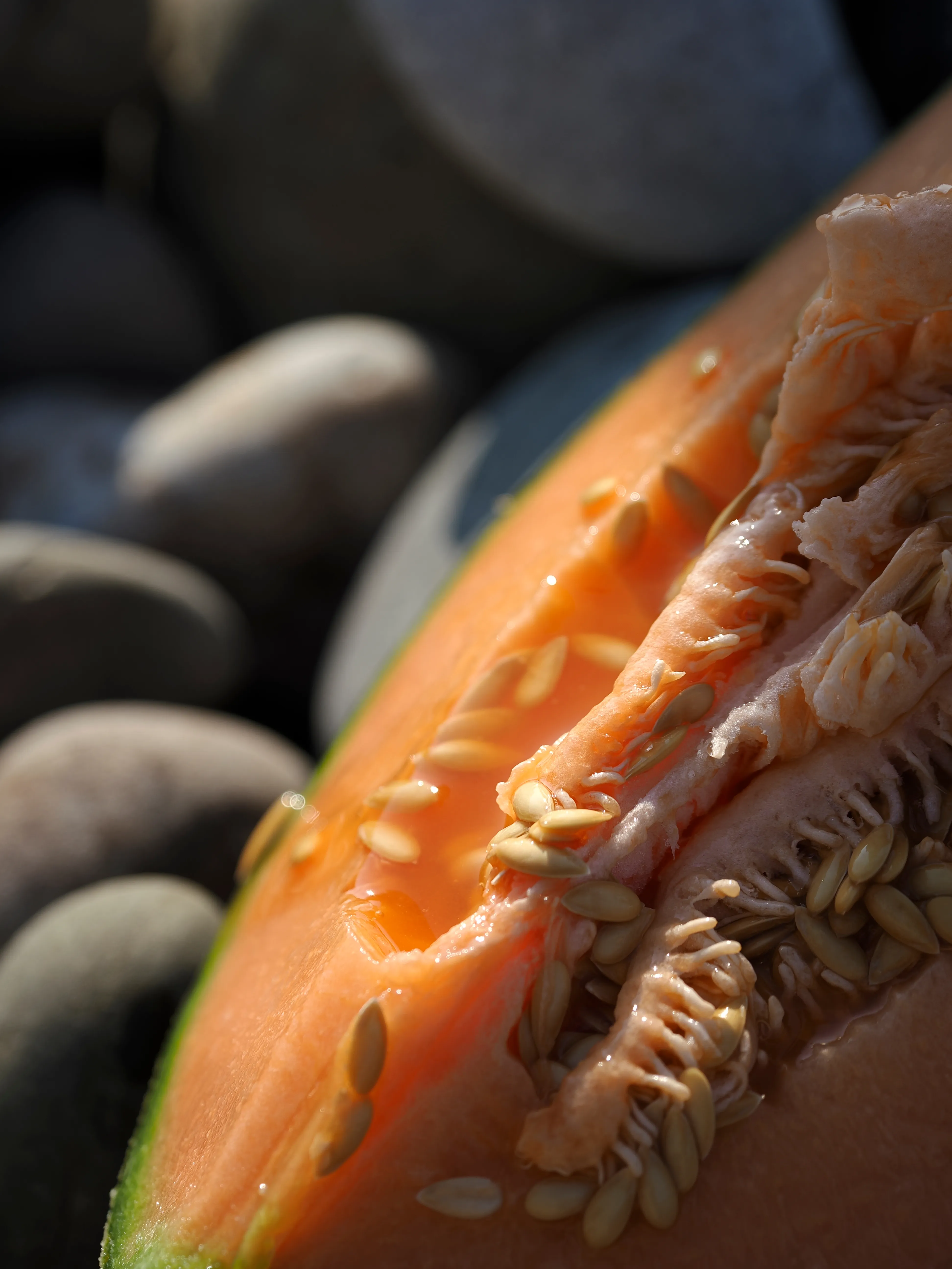 Il succo di un'estate.