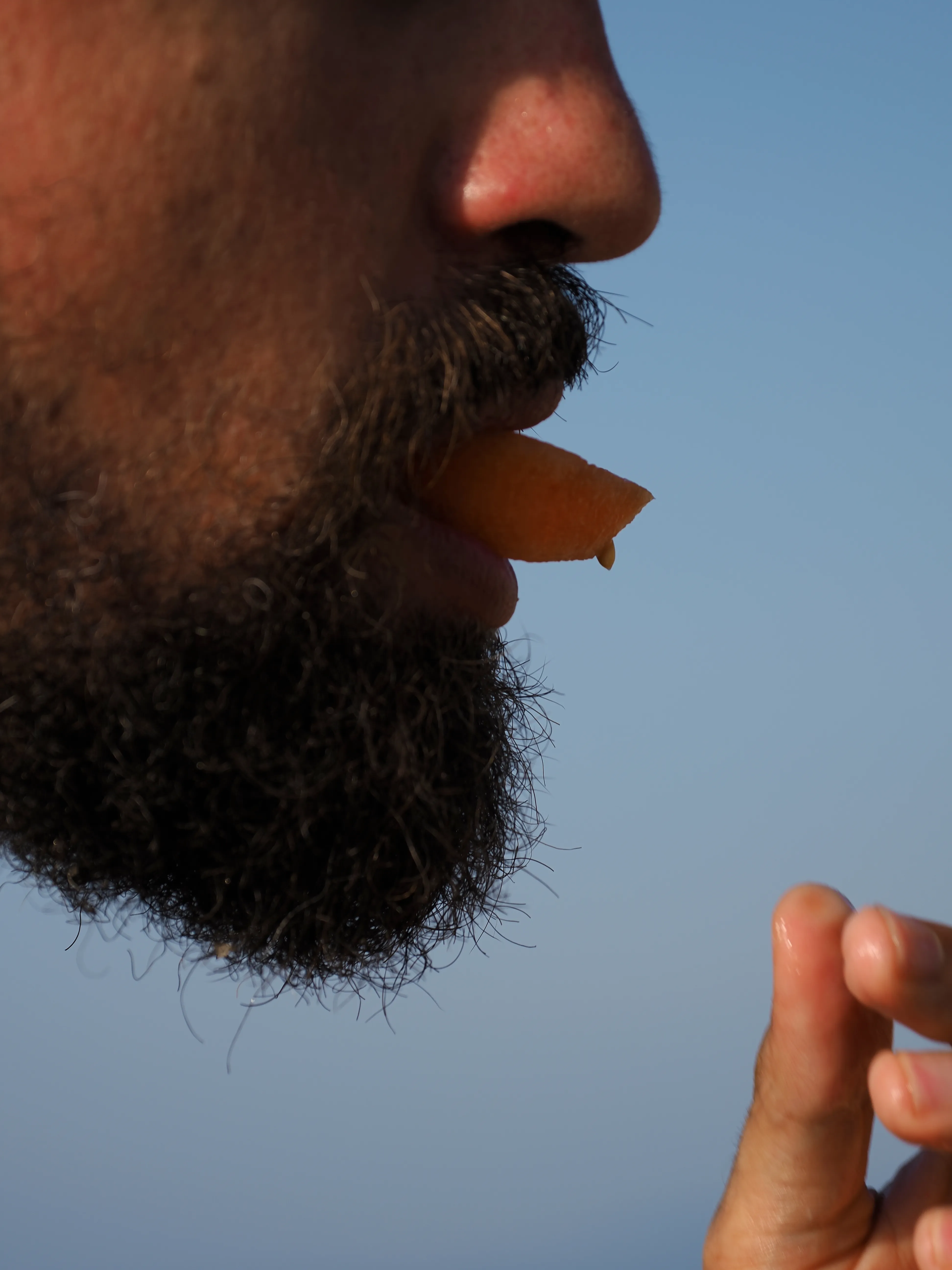 Il succo di un'estate.