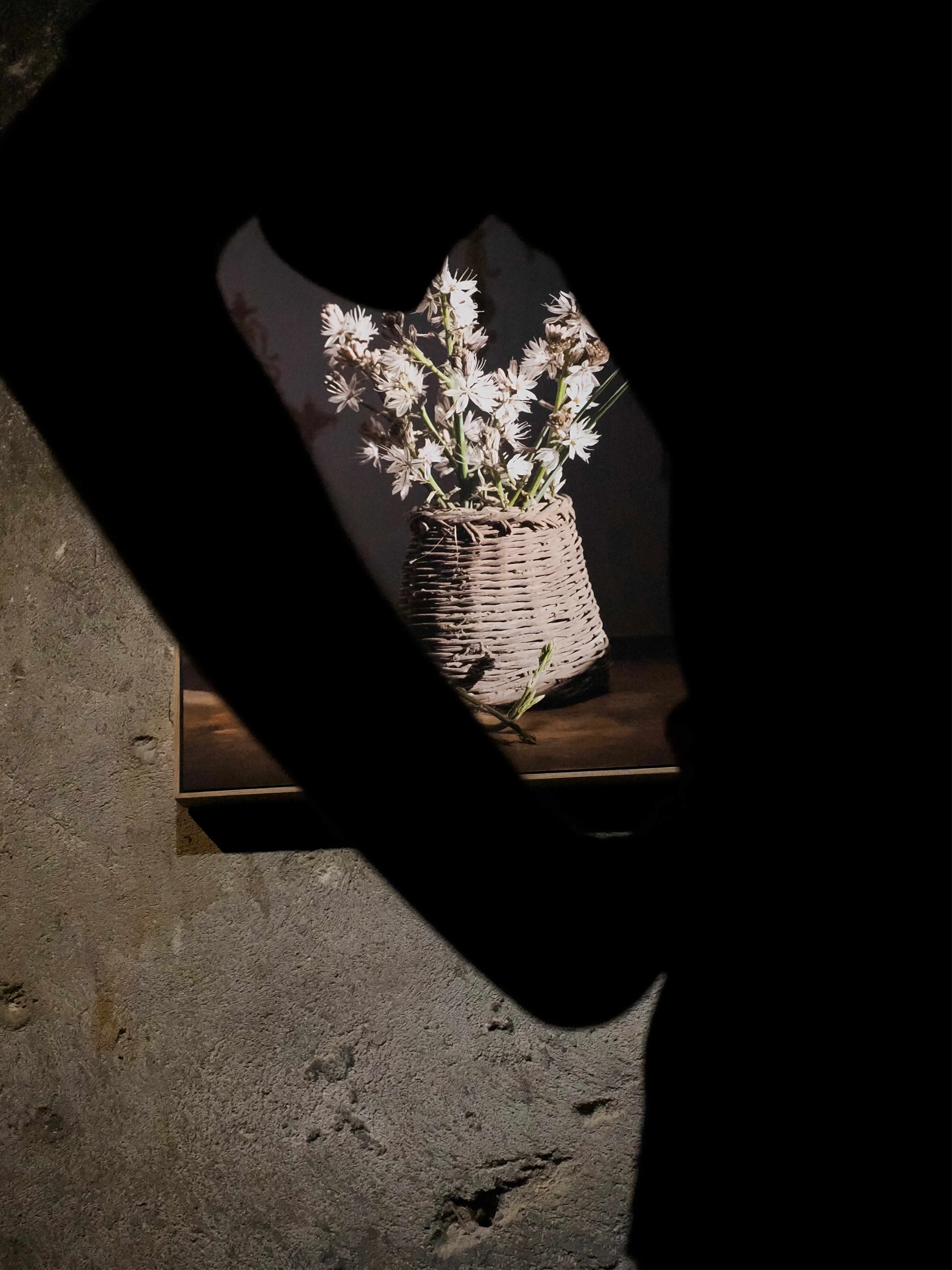 Prima di lasciare questa regale dimora