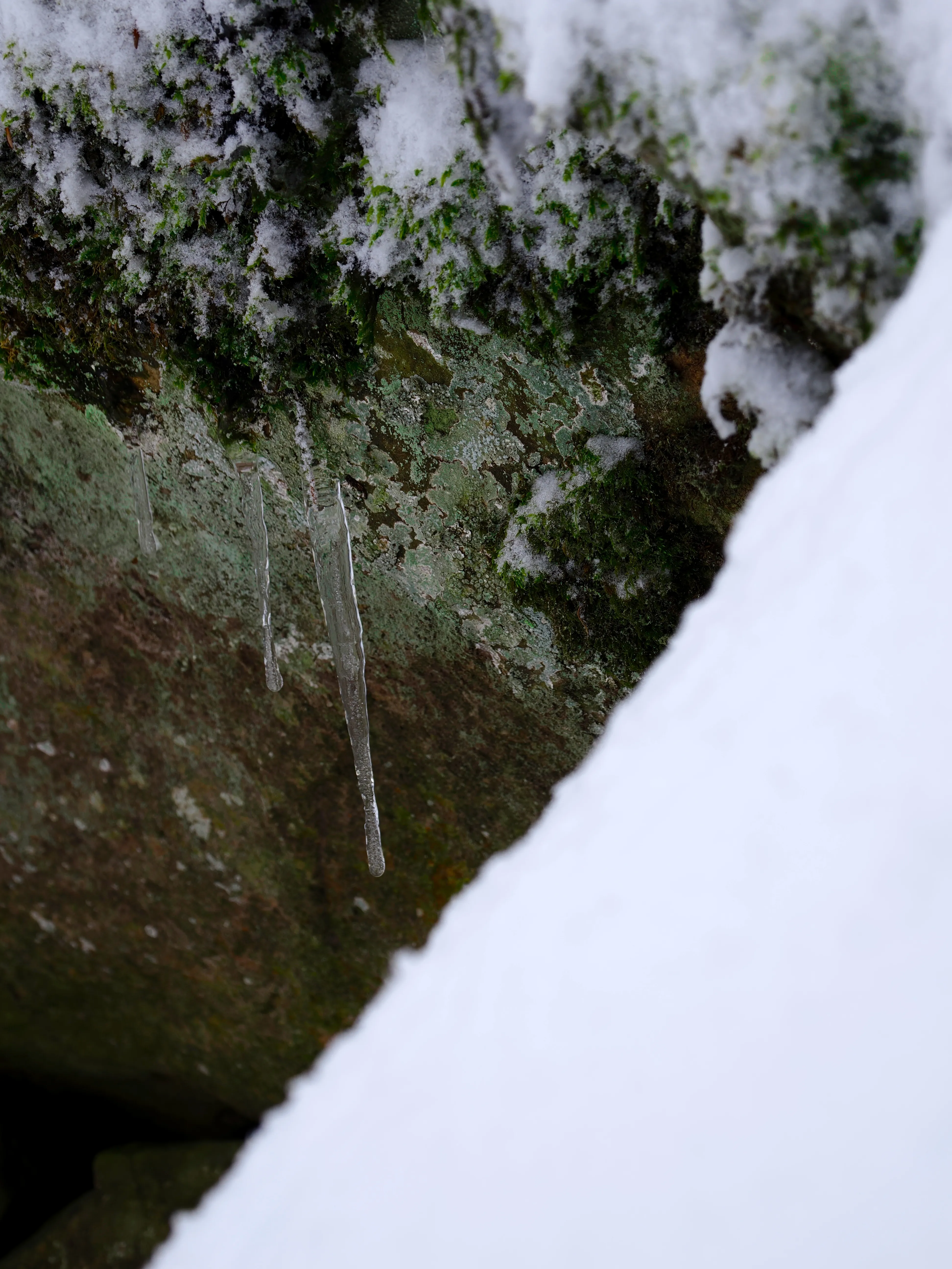 Strati di neve e libertà