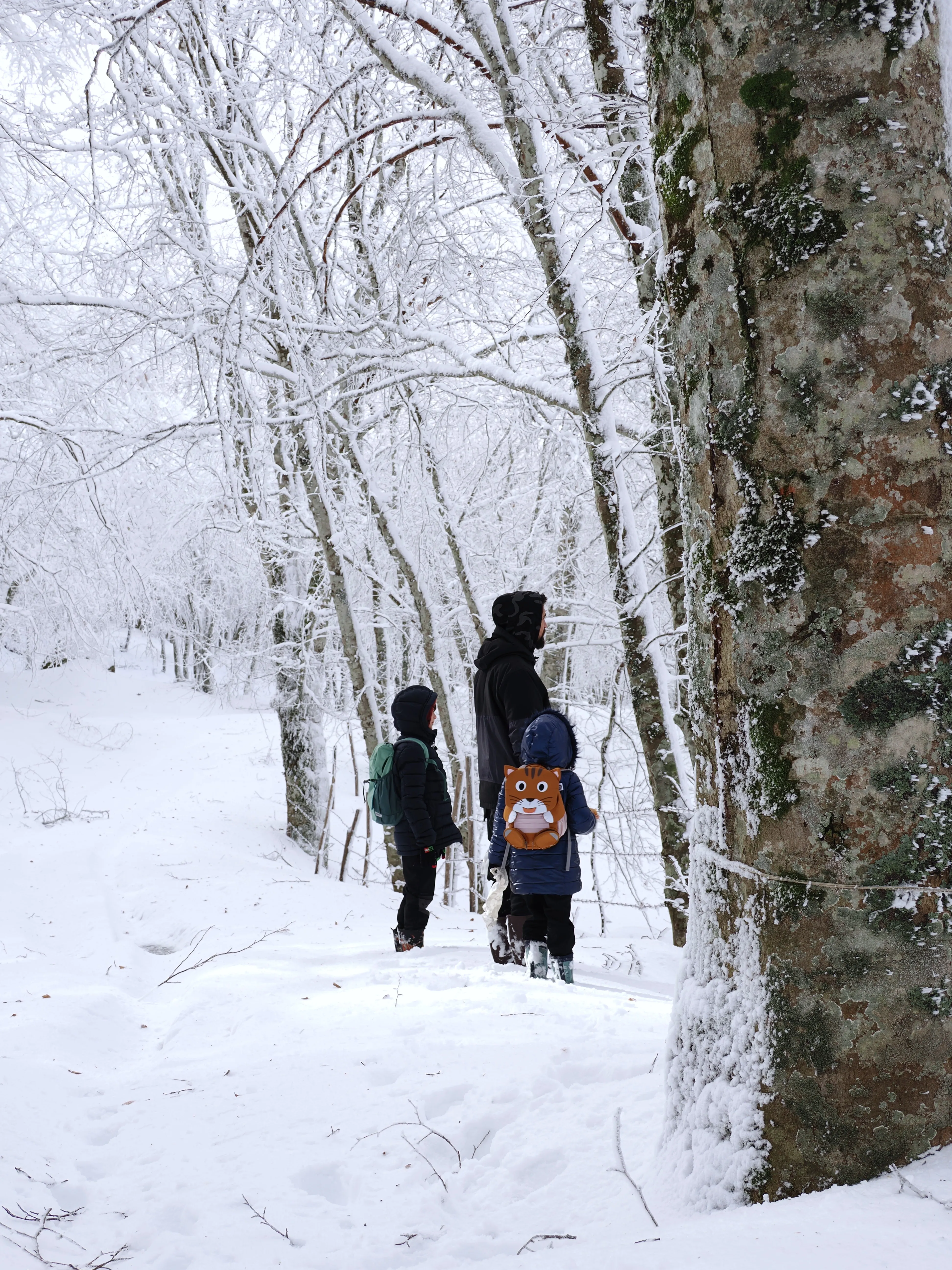 Strati di neve e libertà