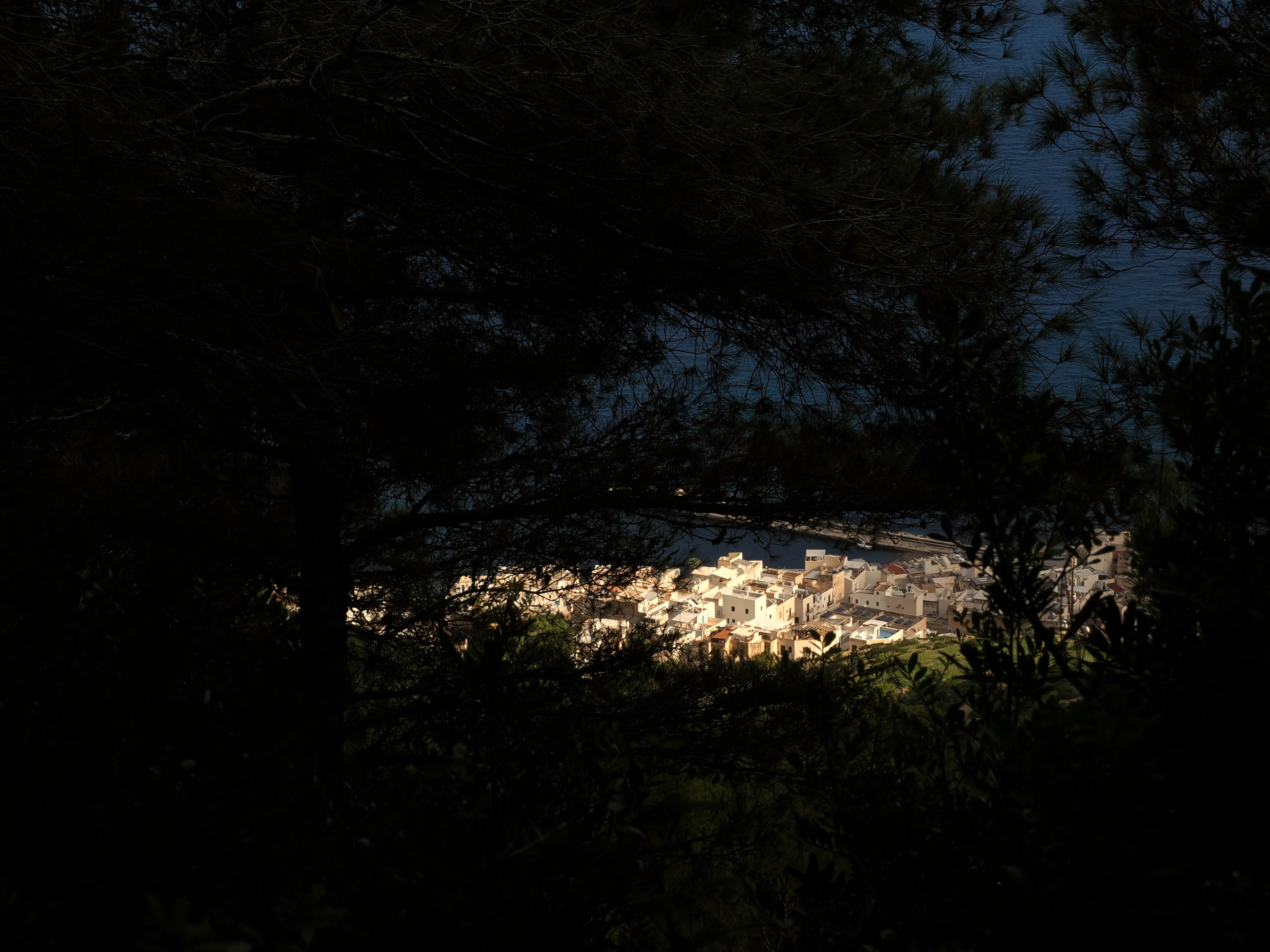 Respiro fiorito dell'autunno a Marettimo. Fotografia del sentire