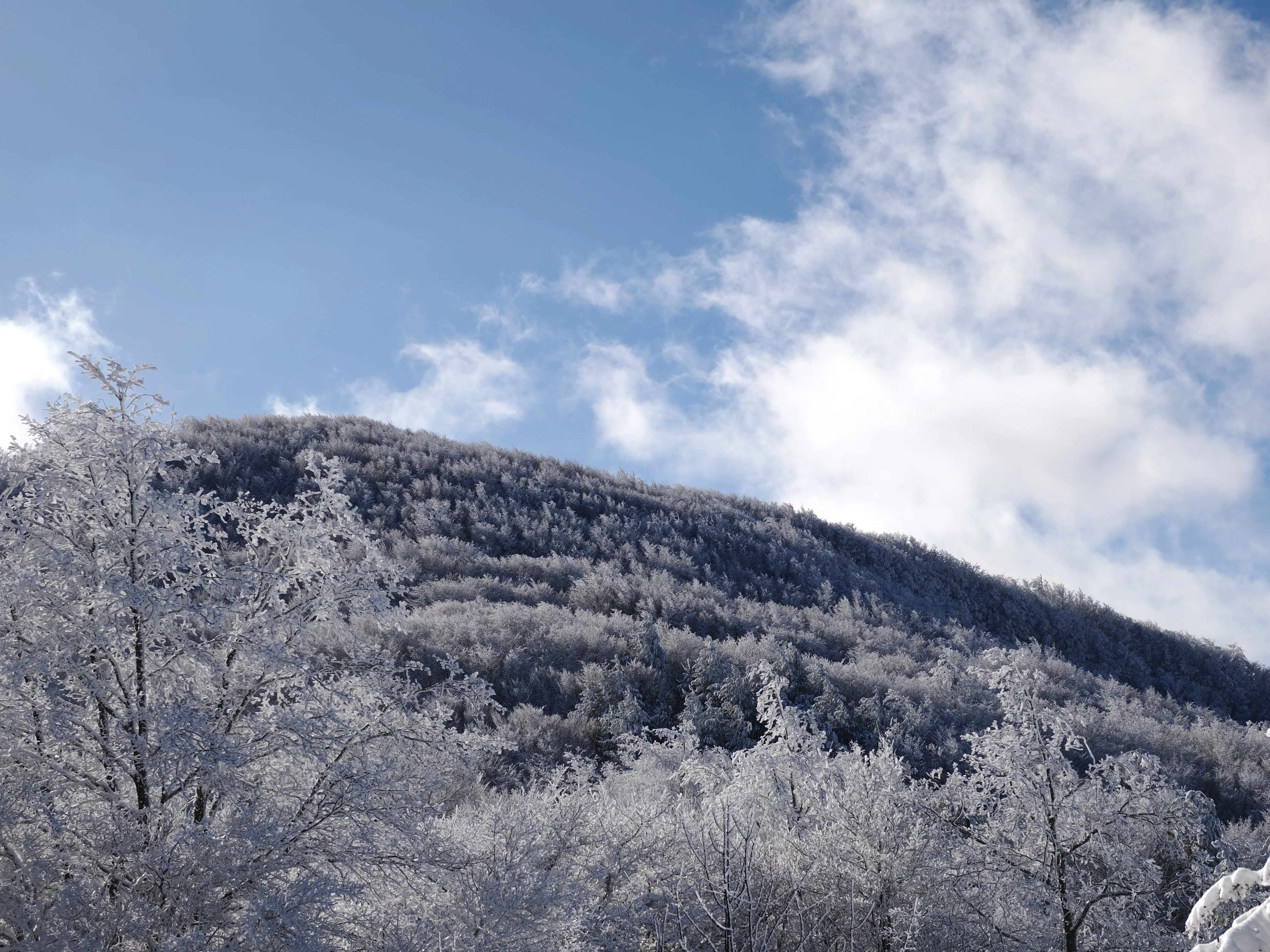 Strati di neve e libertà