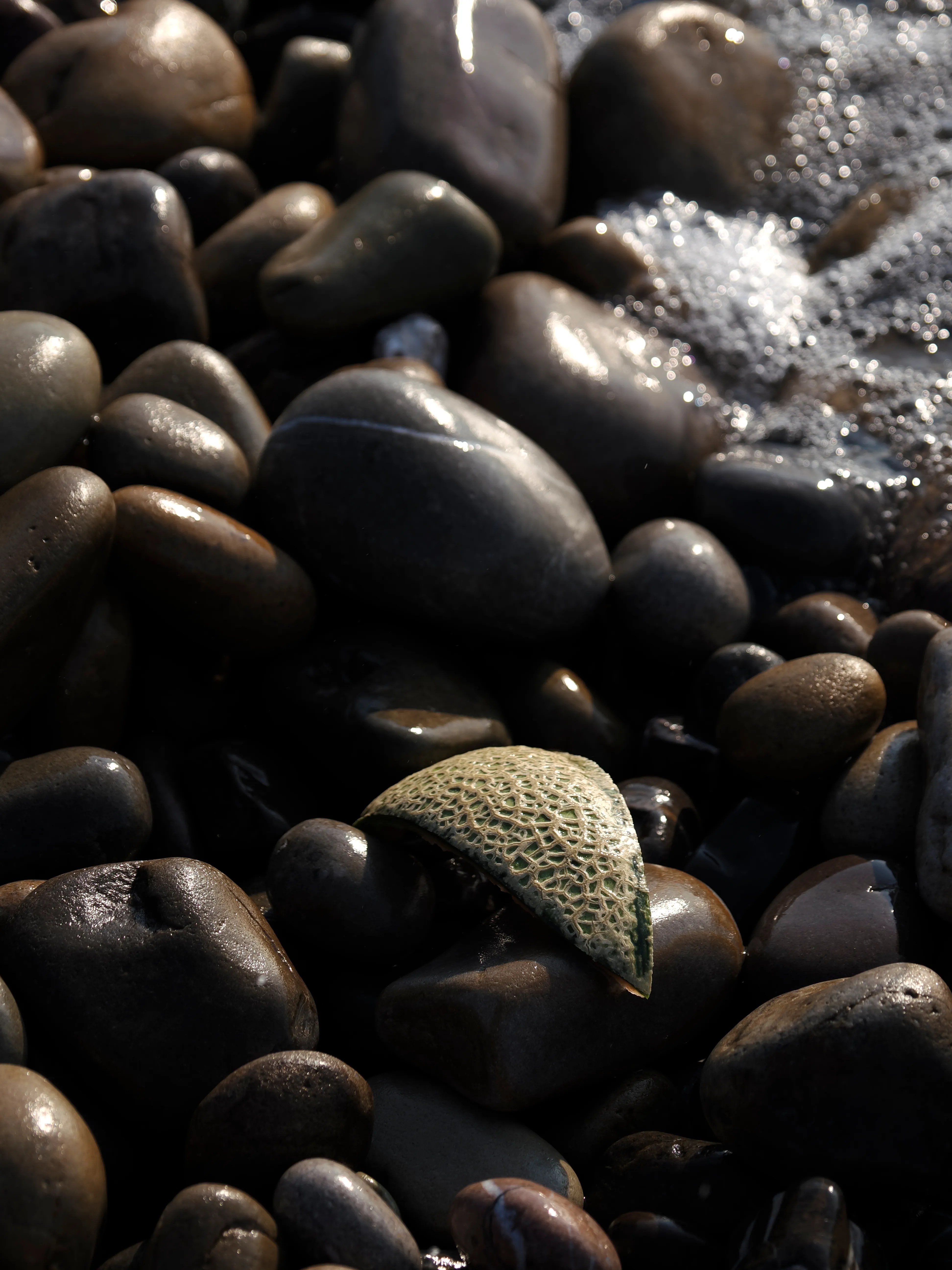 Il succo di un'estate.