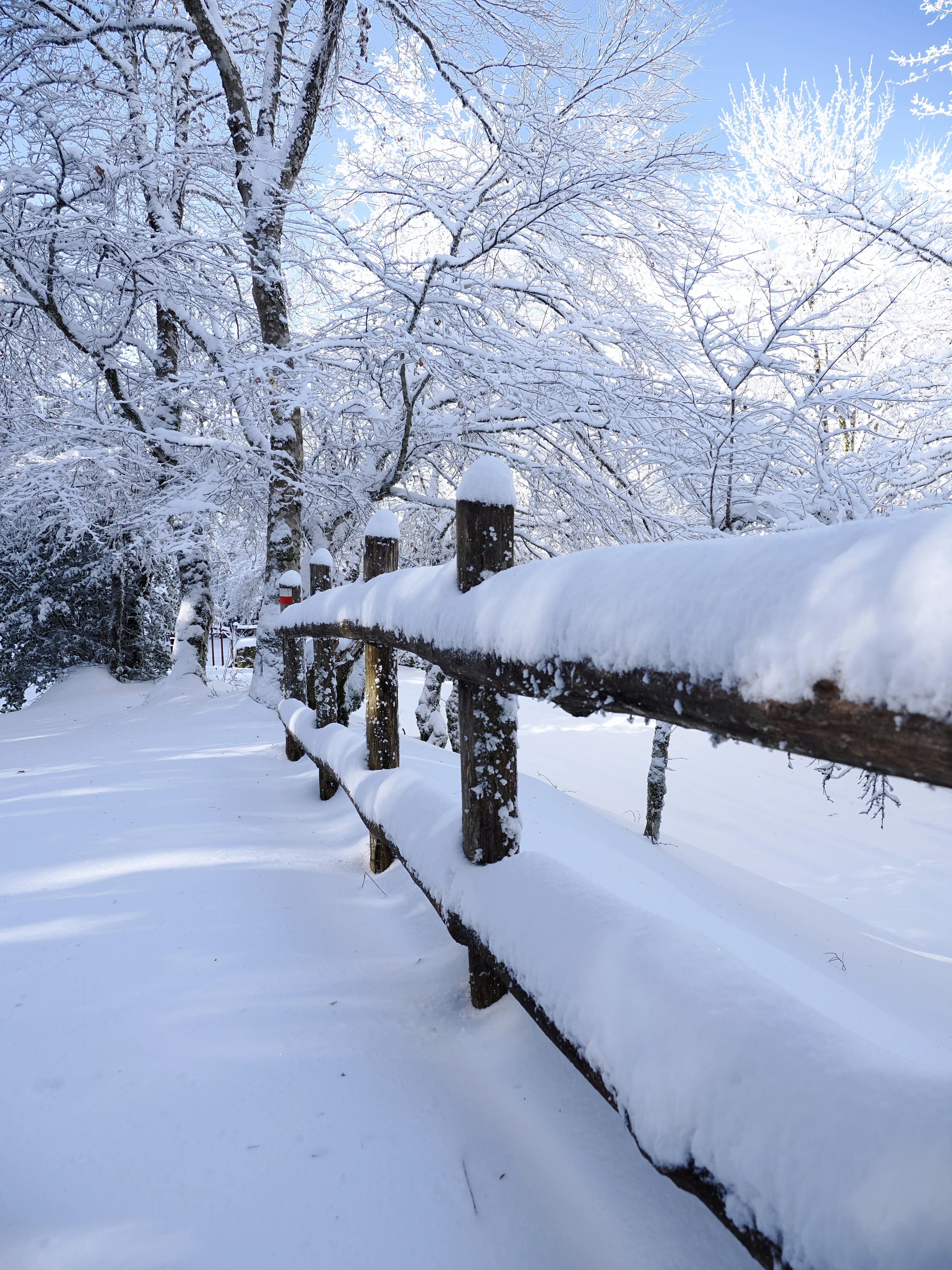 Strati di neve e libertà