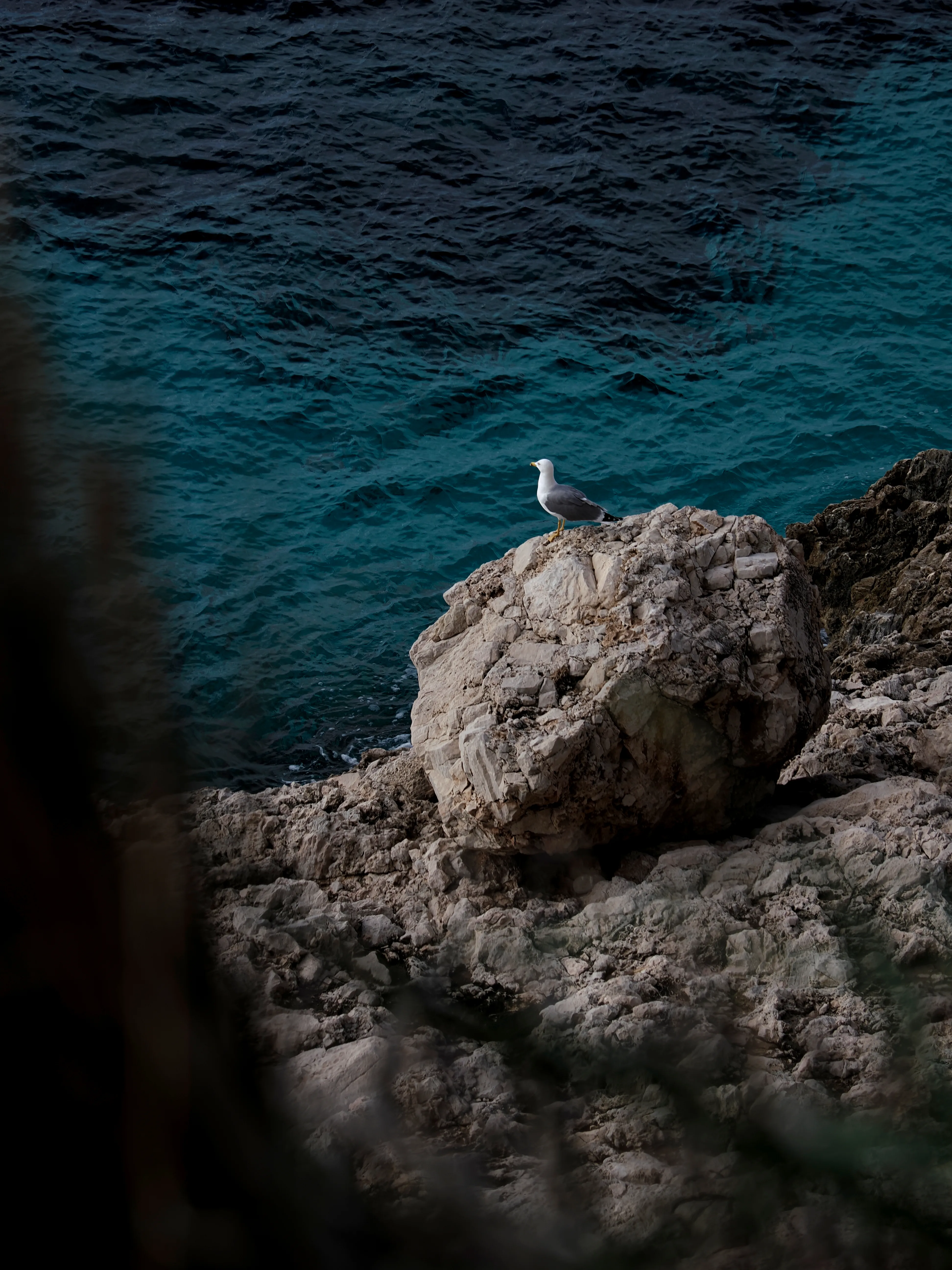 Sguardo a Levanzo. Fotografia del sentire