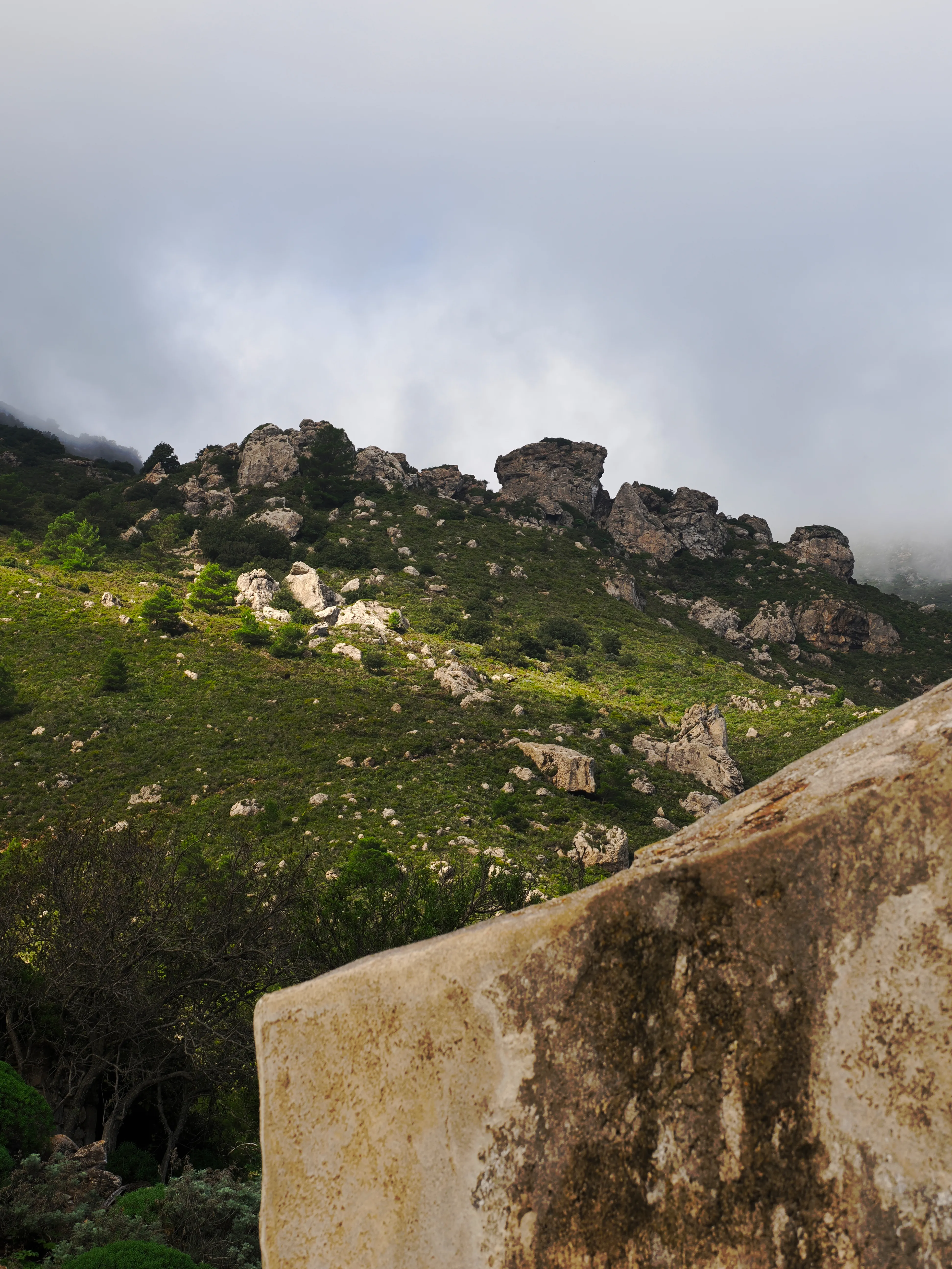 Respiro fiorito dell'autunno a Marettimo. Fotografia del sentire