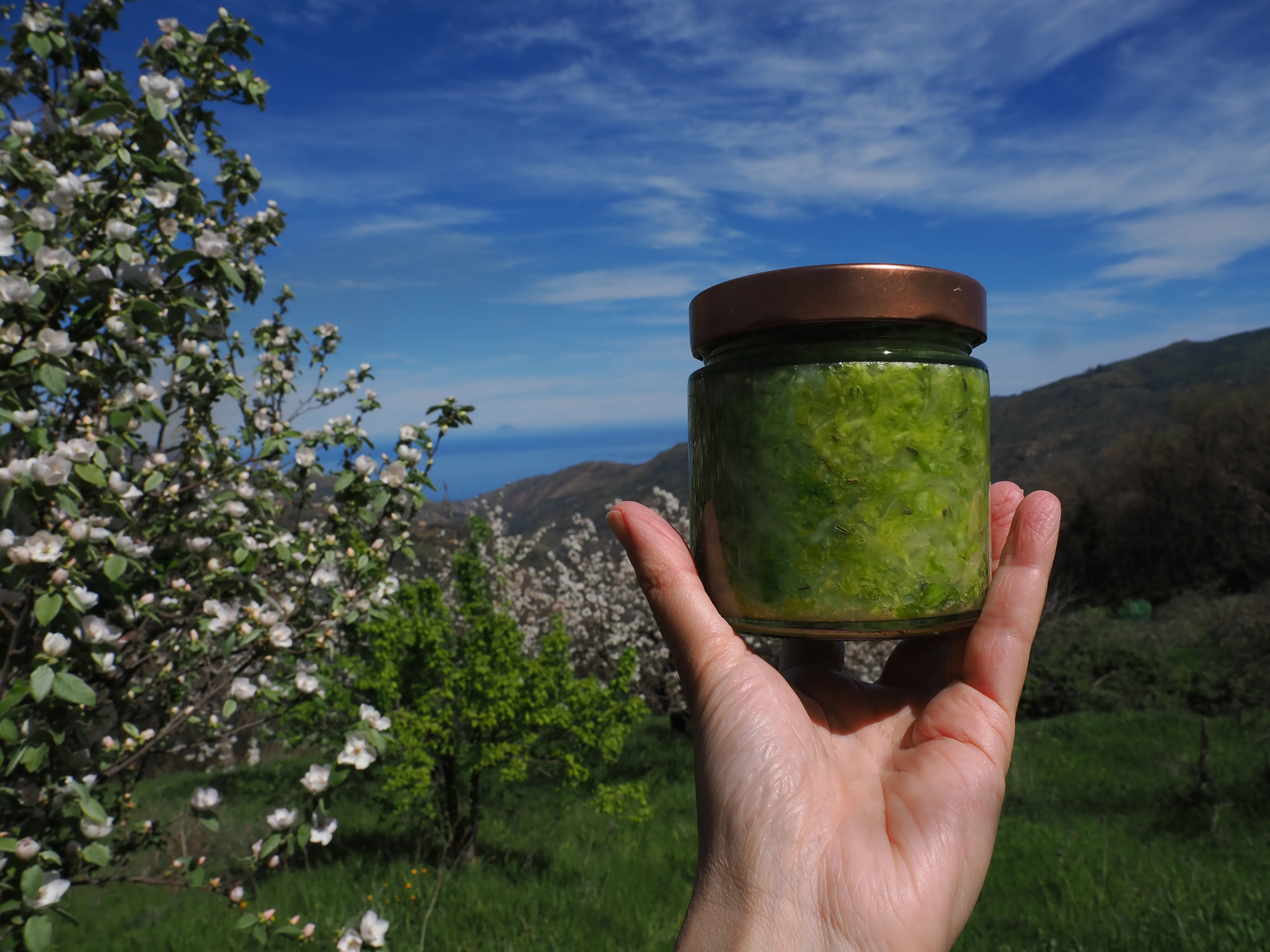 Dwelling in Nature with Olympus