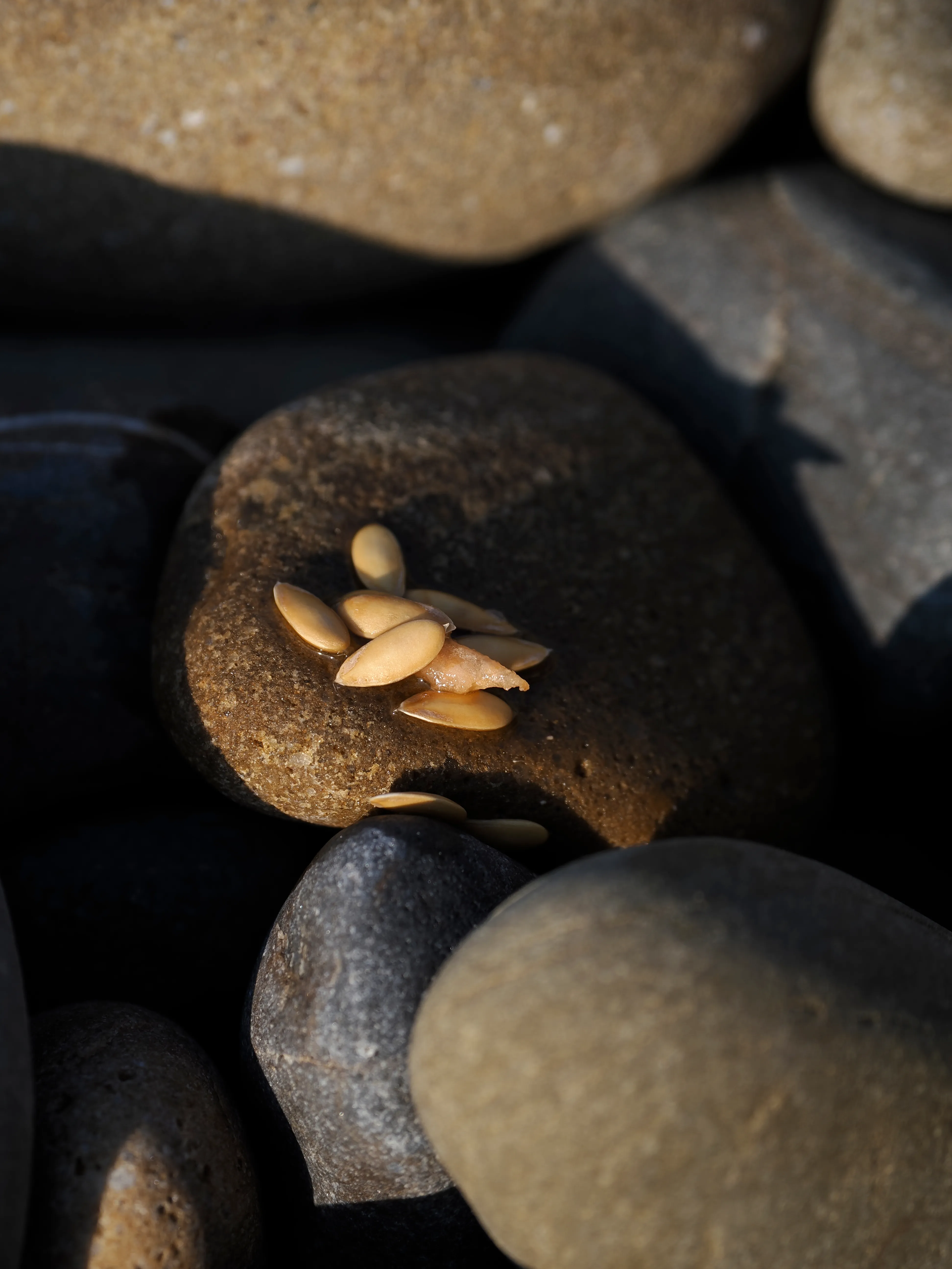 Il succo di un'estate.