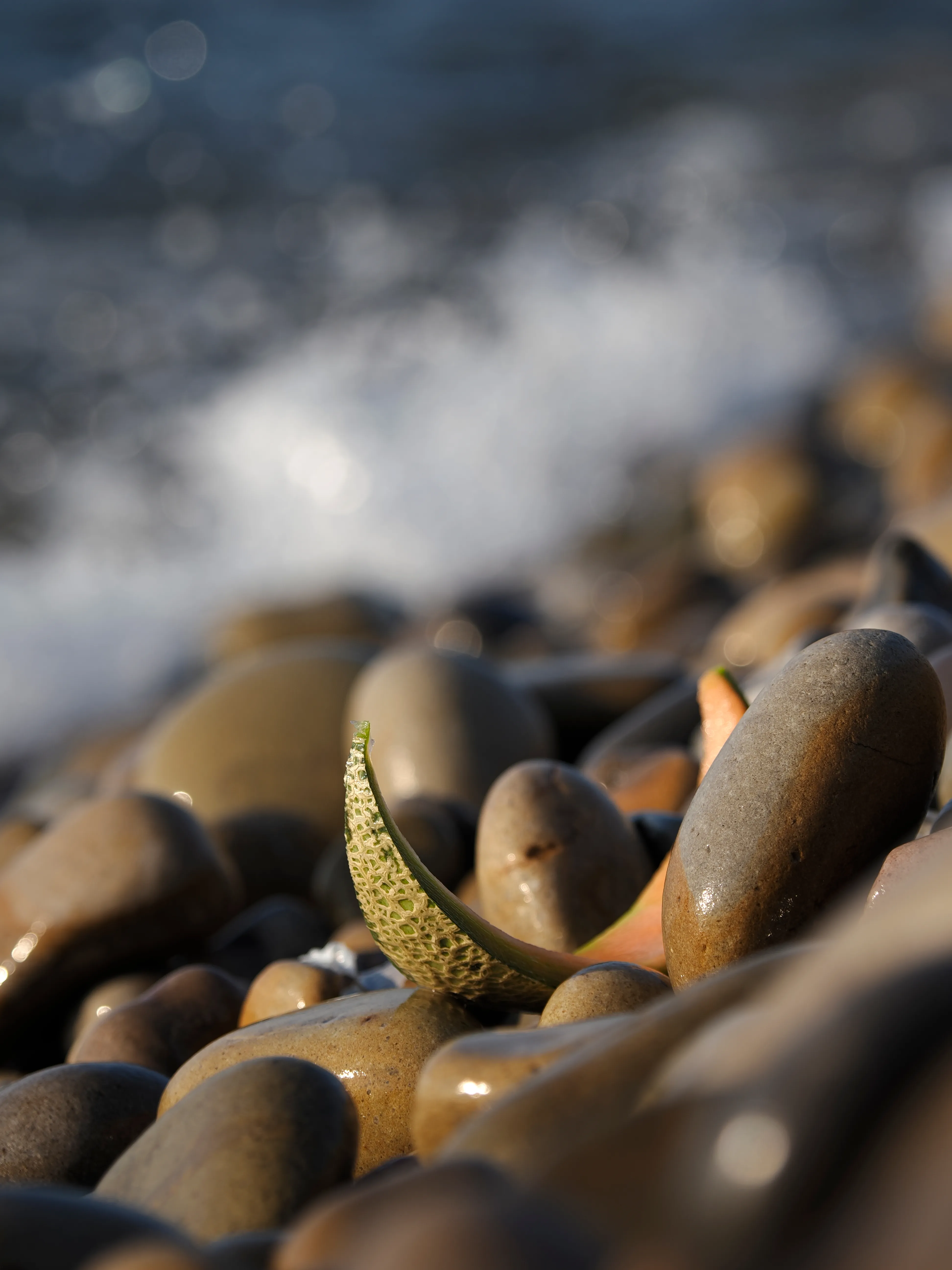 Il succo di un'estate.