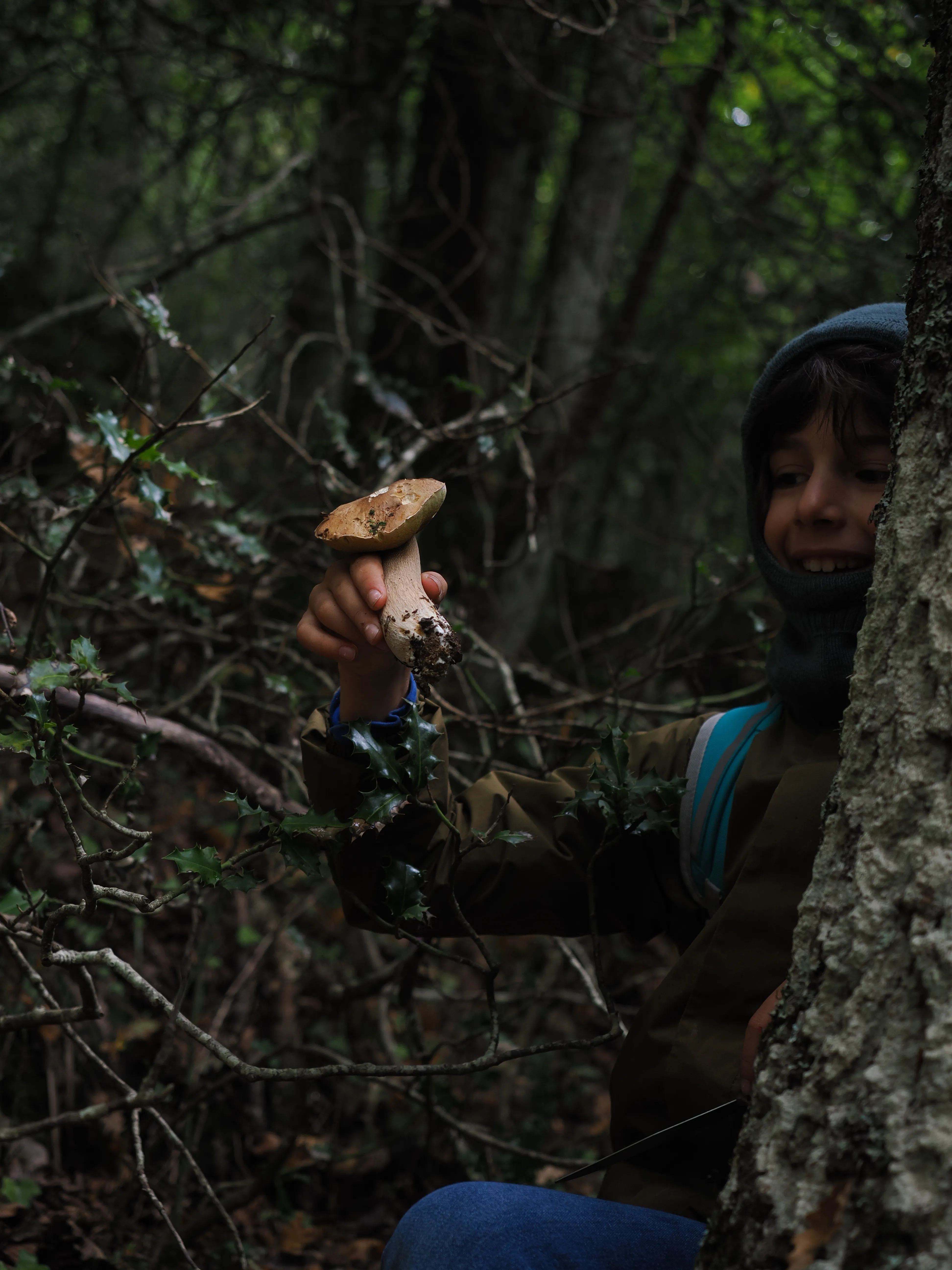 Miconauti. La gioia di esplorare il bosco