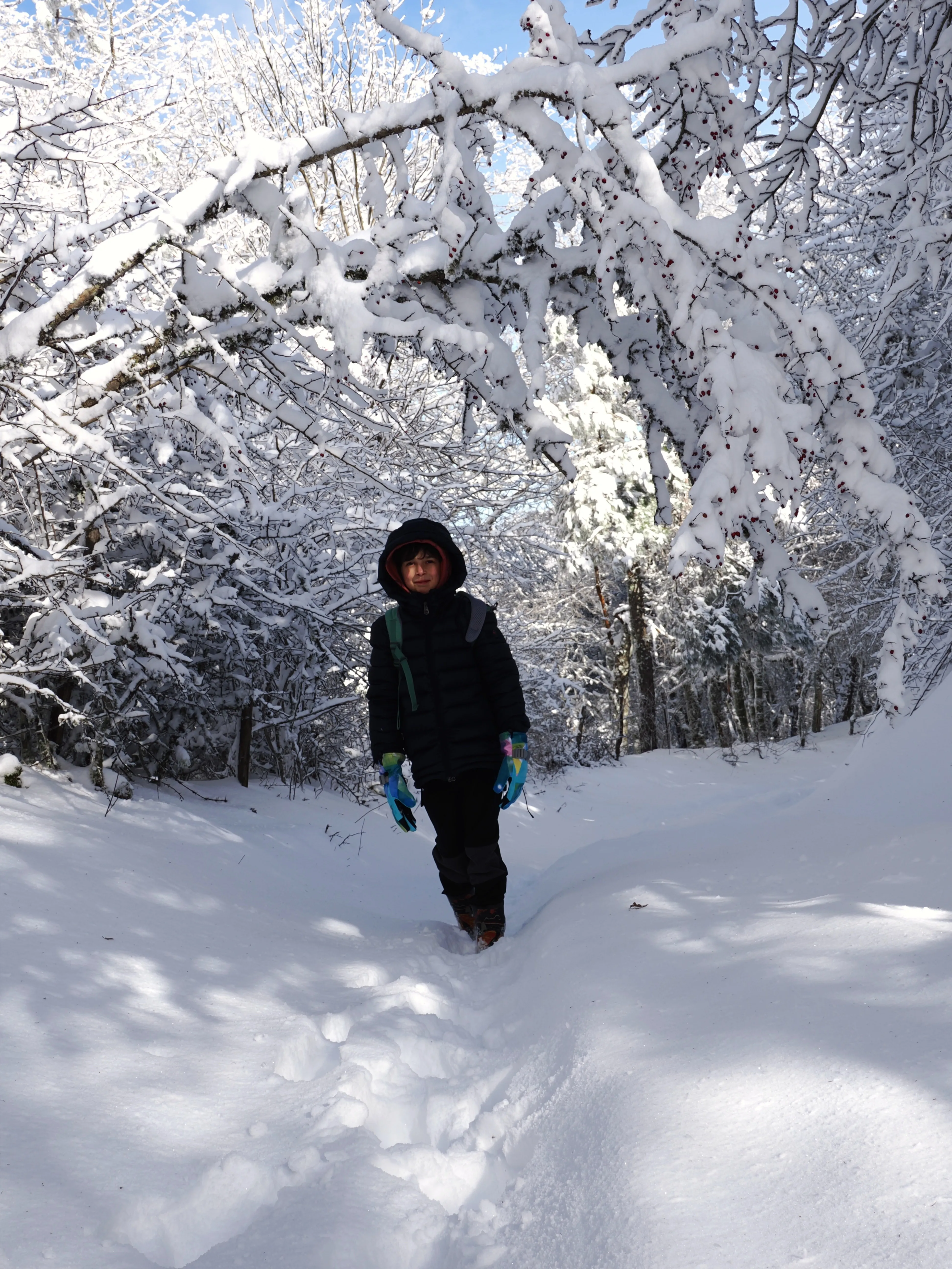 Strati di neve e libertà