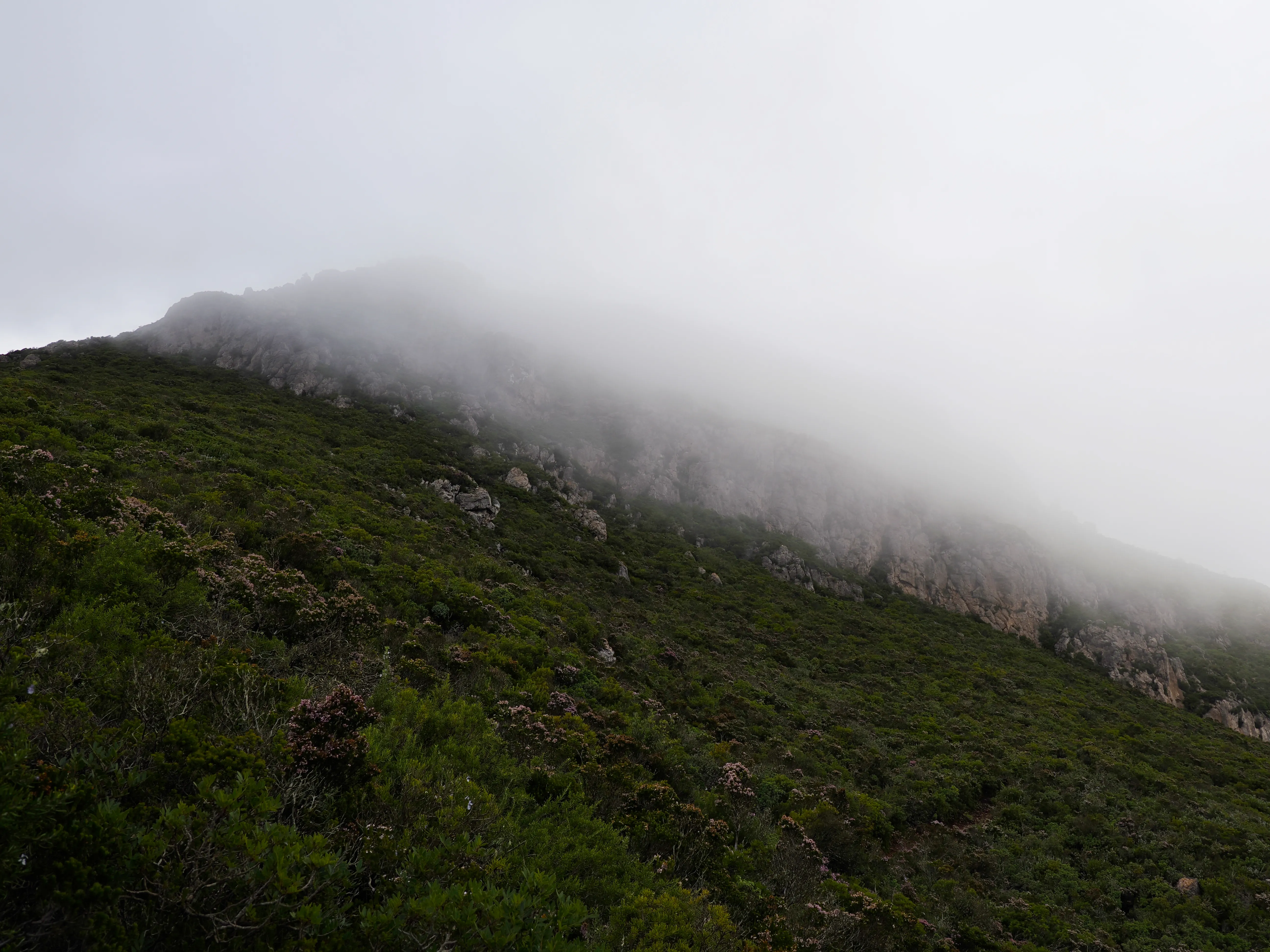 Respiro fiorito dell'autunno a Marettimo. Fotografia del sentire