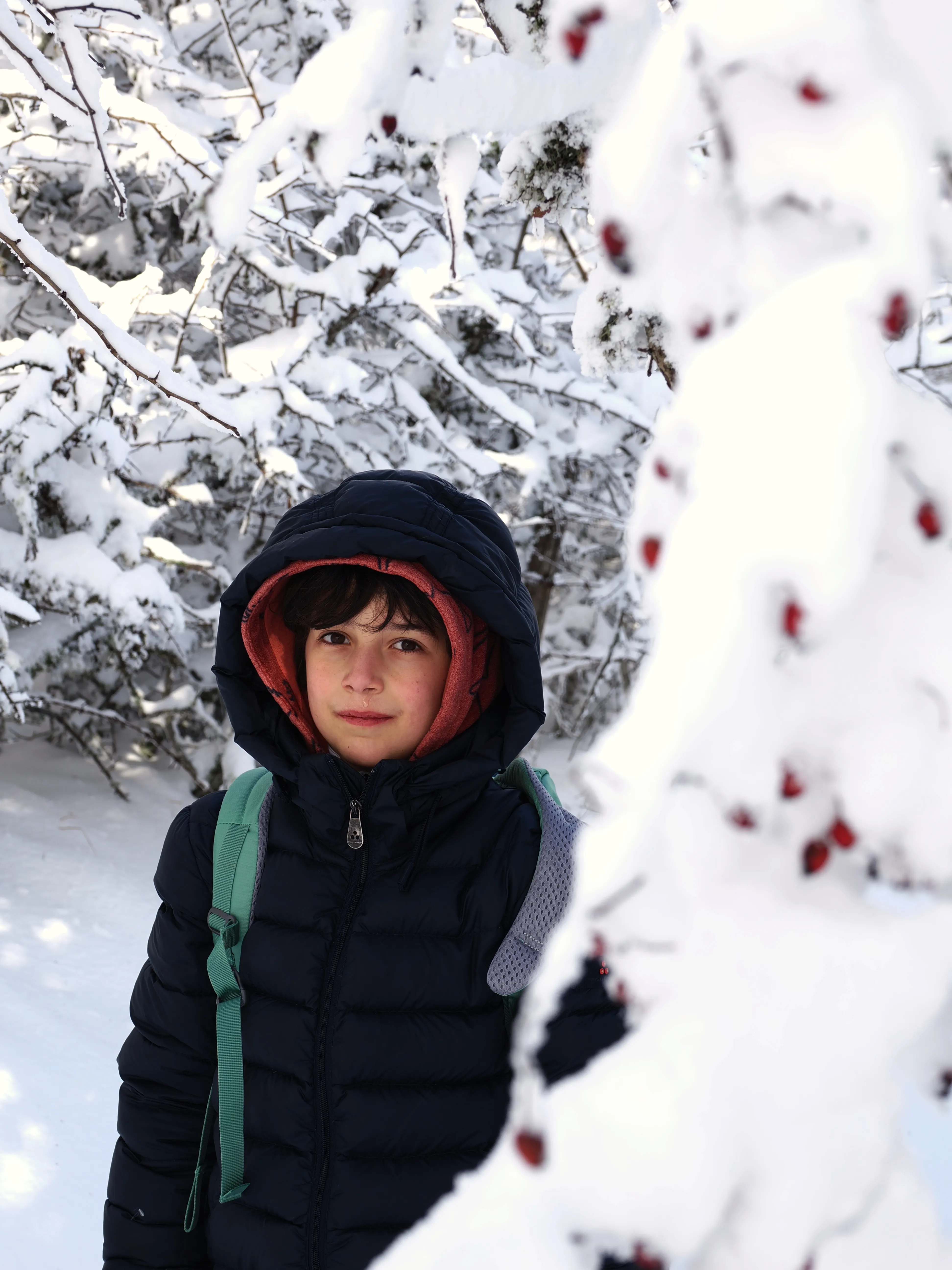 Strati di neve e libertà