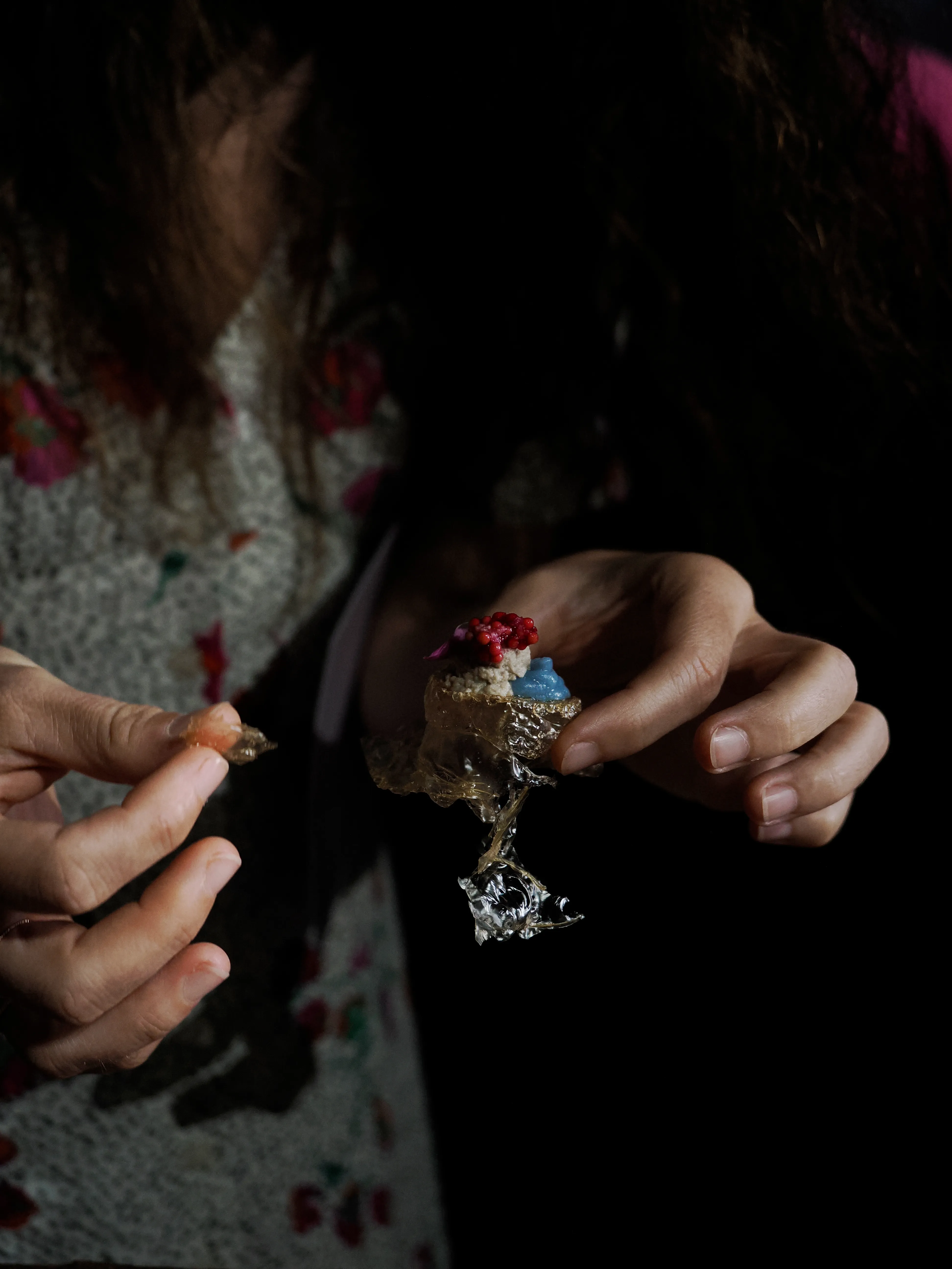 Régis Baudy. Lo chef artista e la sua poetica del vegetale.