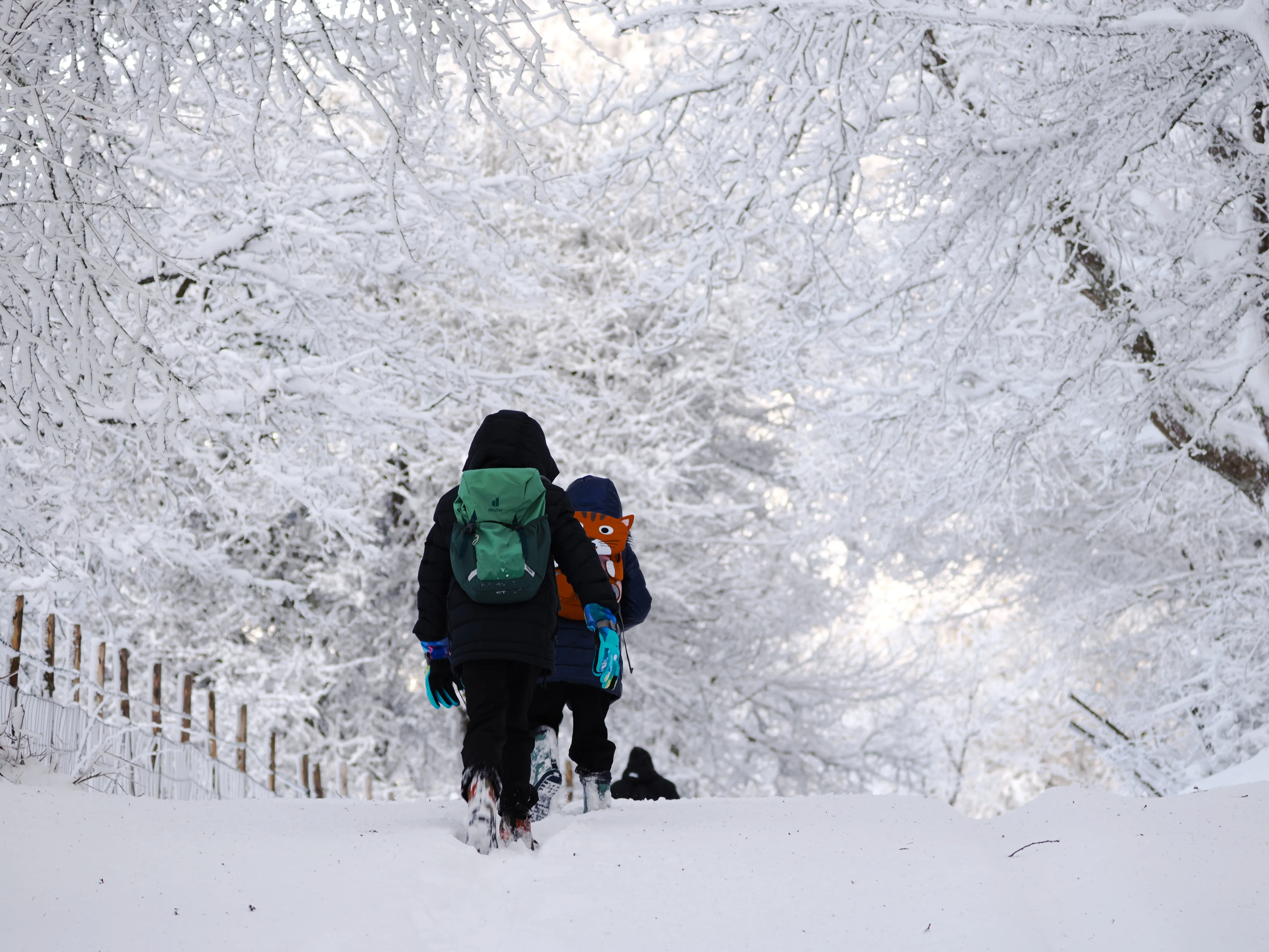Strati di neve e libertà