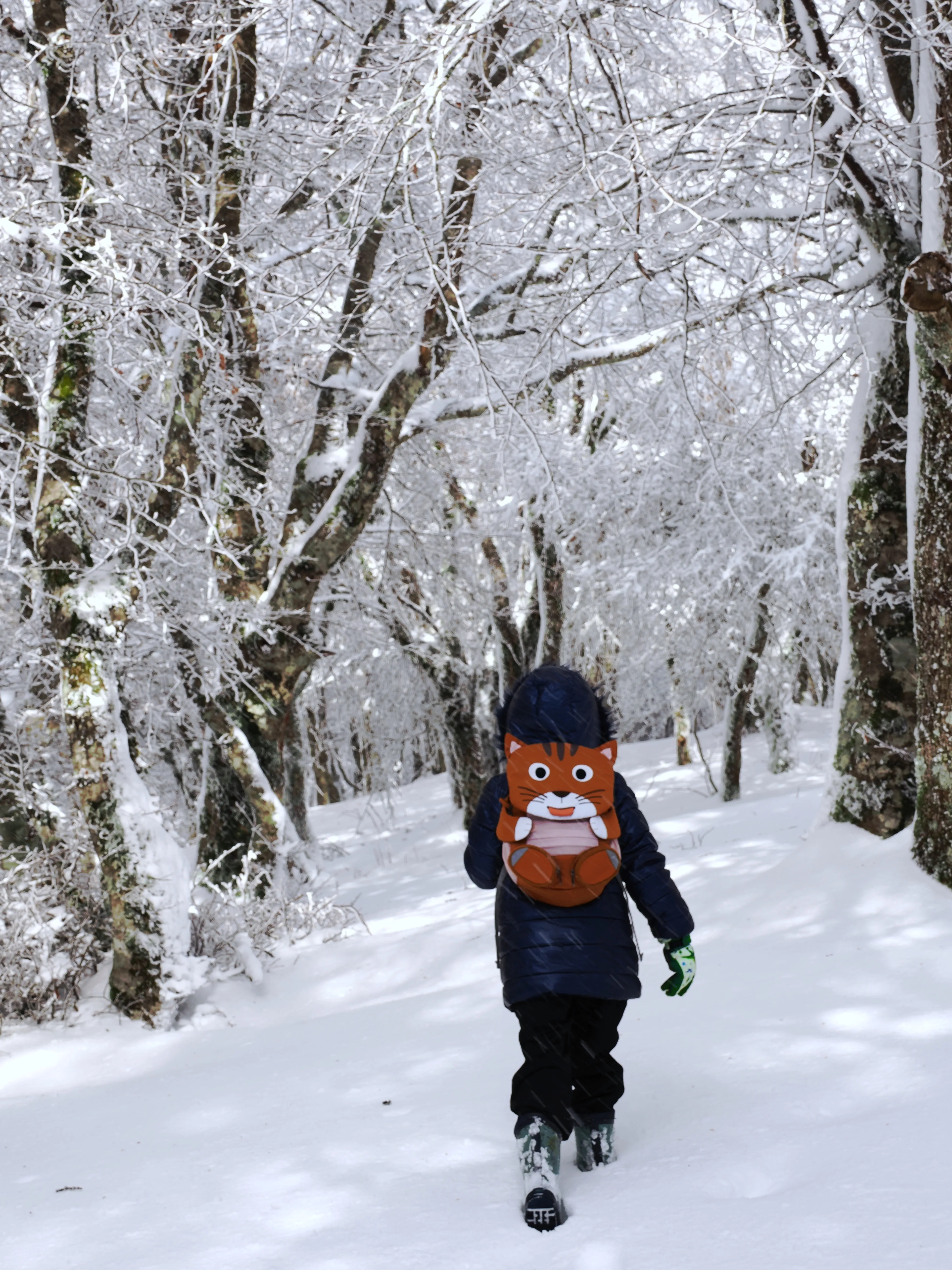 Strati di neve e libertà
