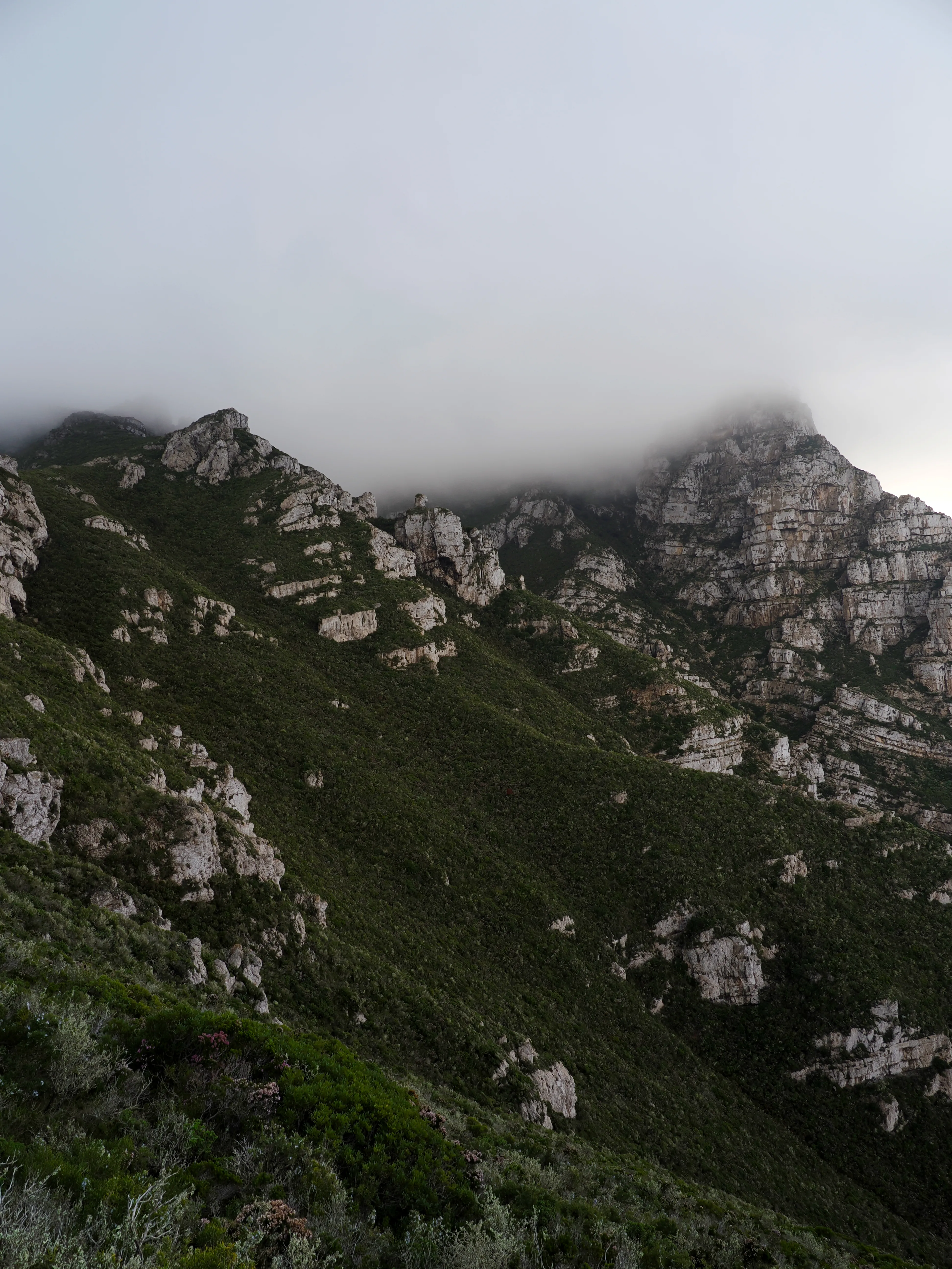 Respiro fiorito dell'autunno a Marettimo. Fotografia del sentire