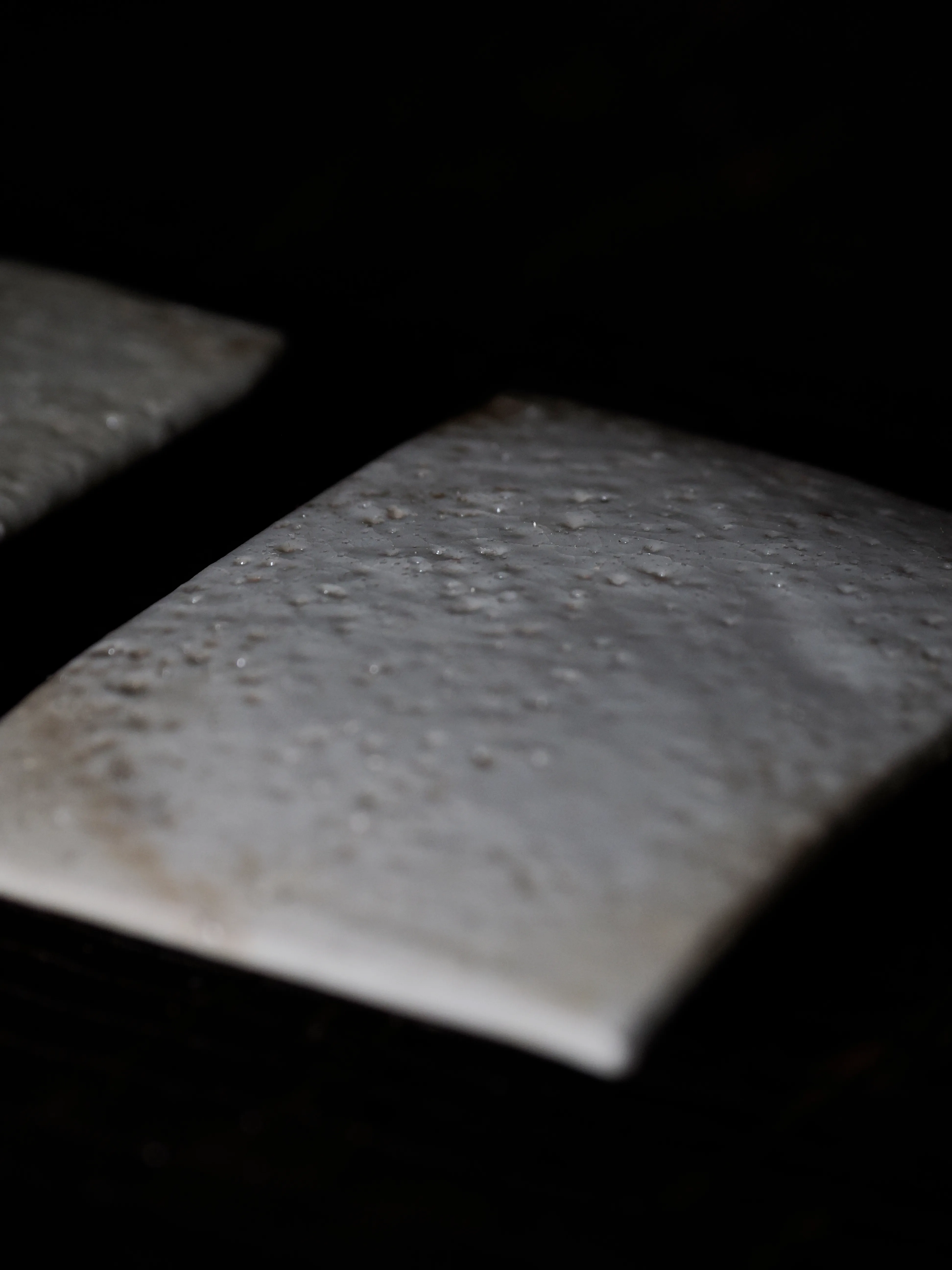 Régis Baudy. Lo chef artista e la sua poetica del vegetale.