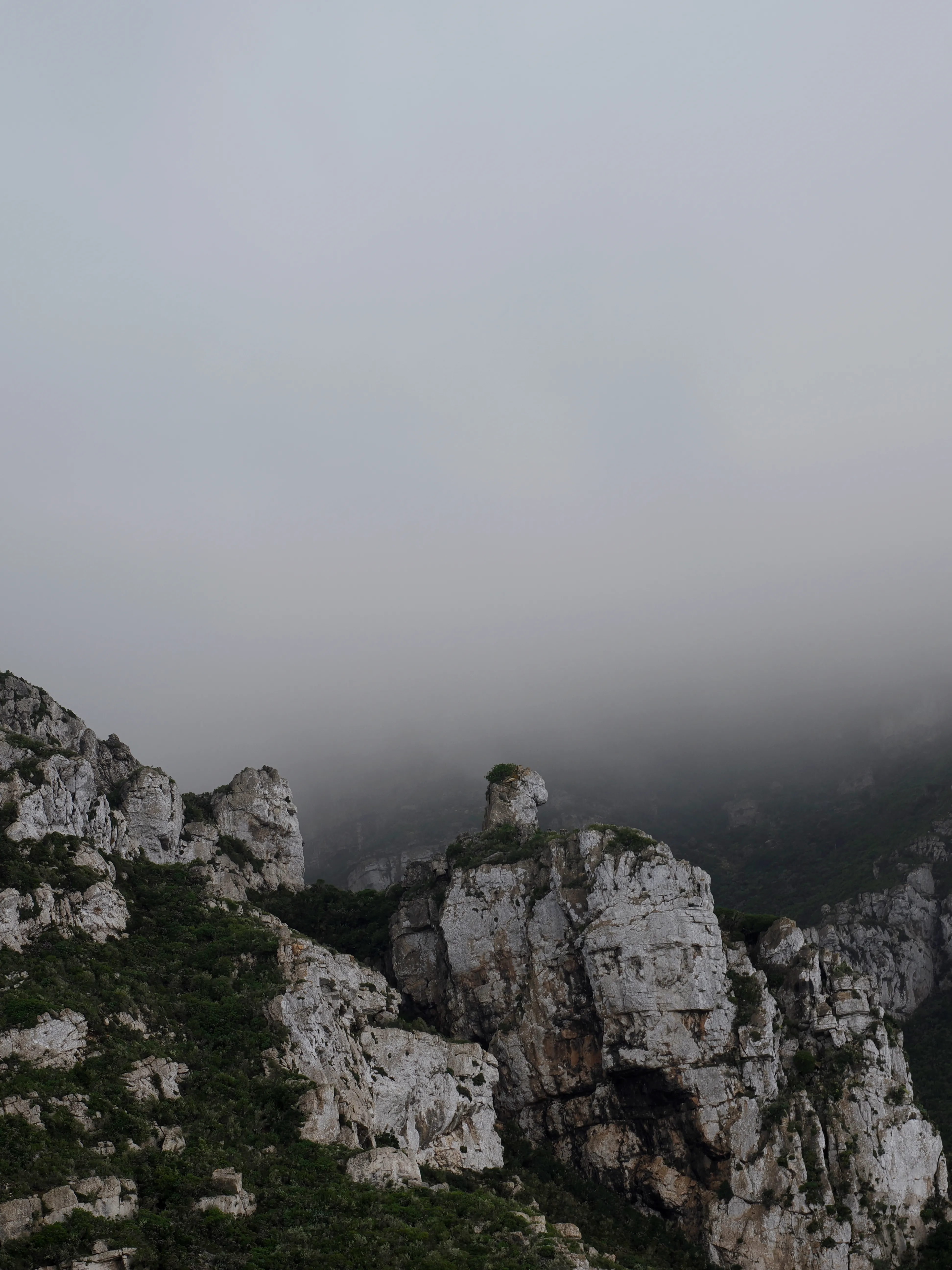 Respiro fiorito dell'autunno a Marettimo. Fotografia del sentire