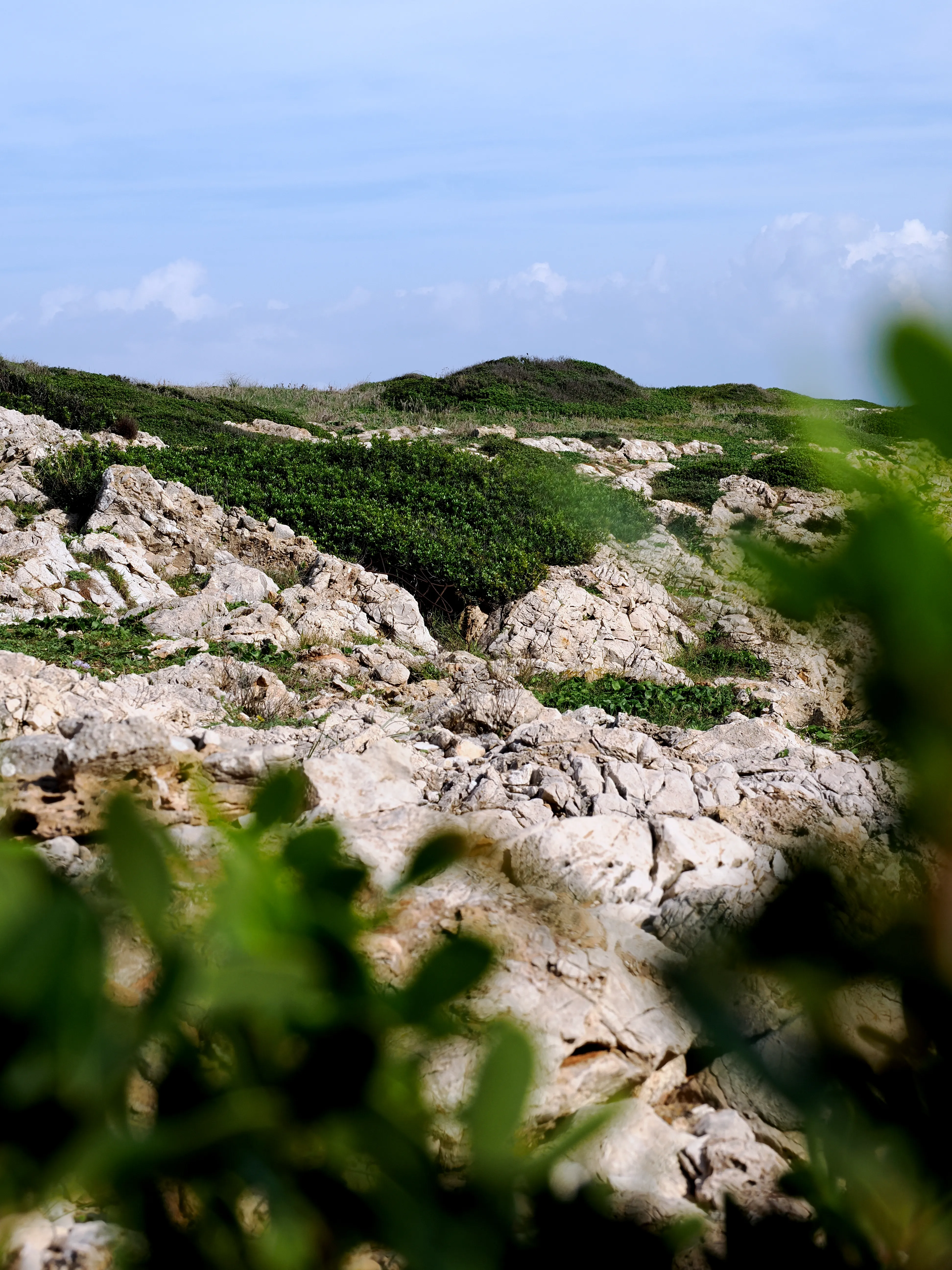 Sguardo a Levanzo. Fotografia del sentire