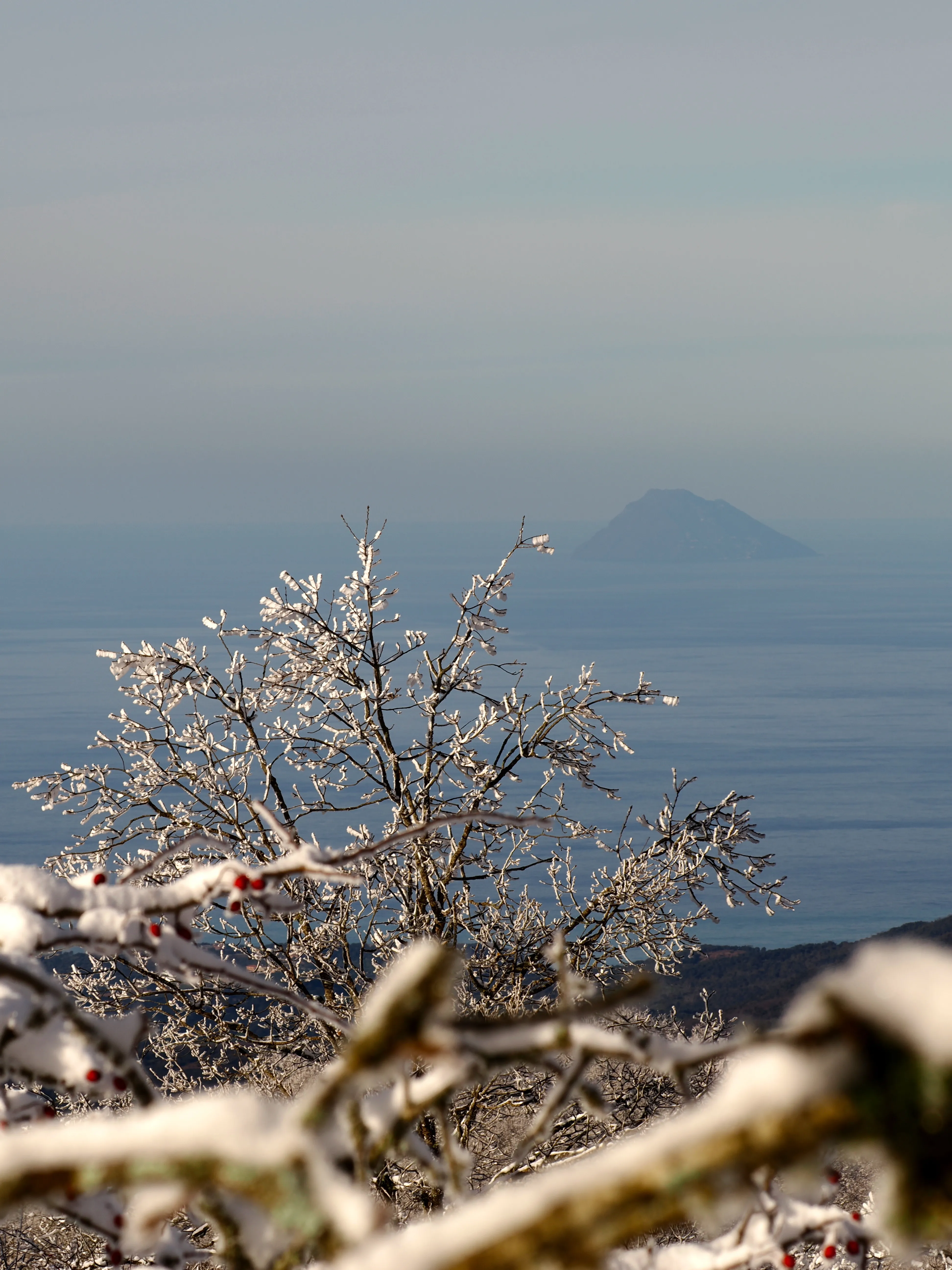 Strati di neve e libertà