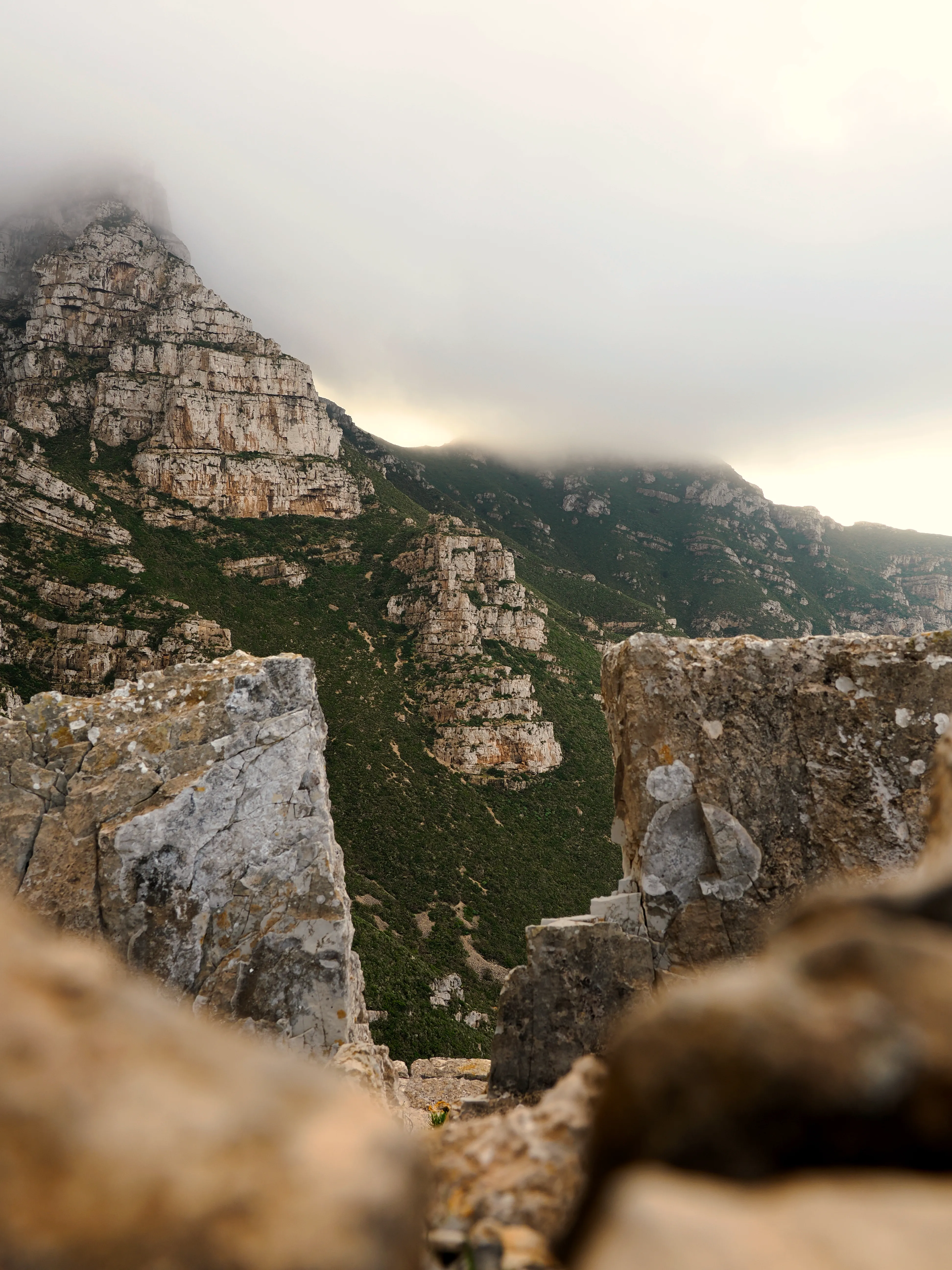 Respiro fiorito dell'autunno a Marettimo. Fotografia del sentire