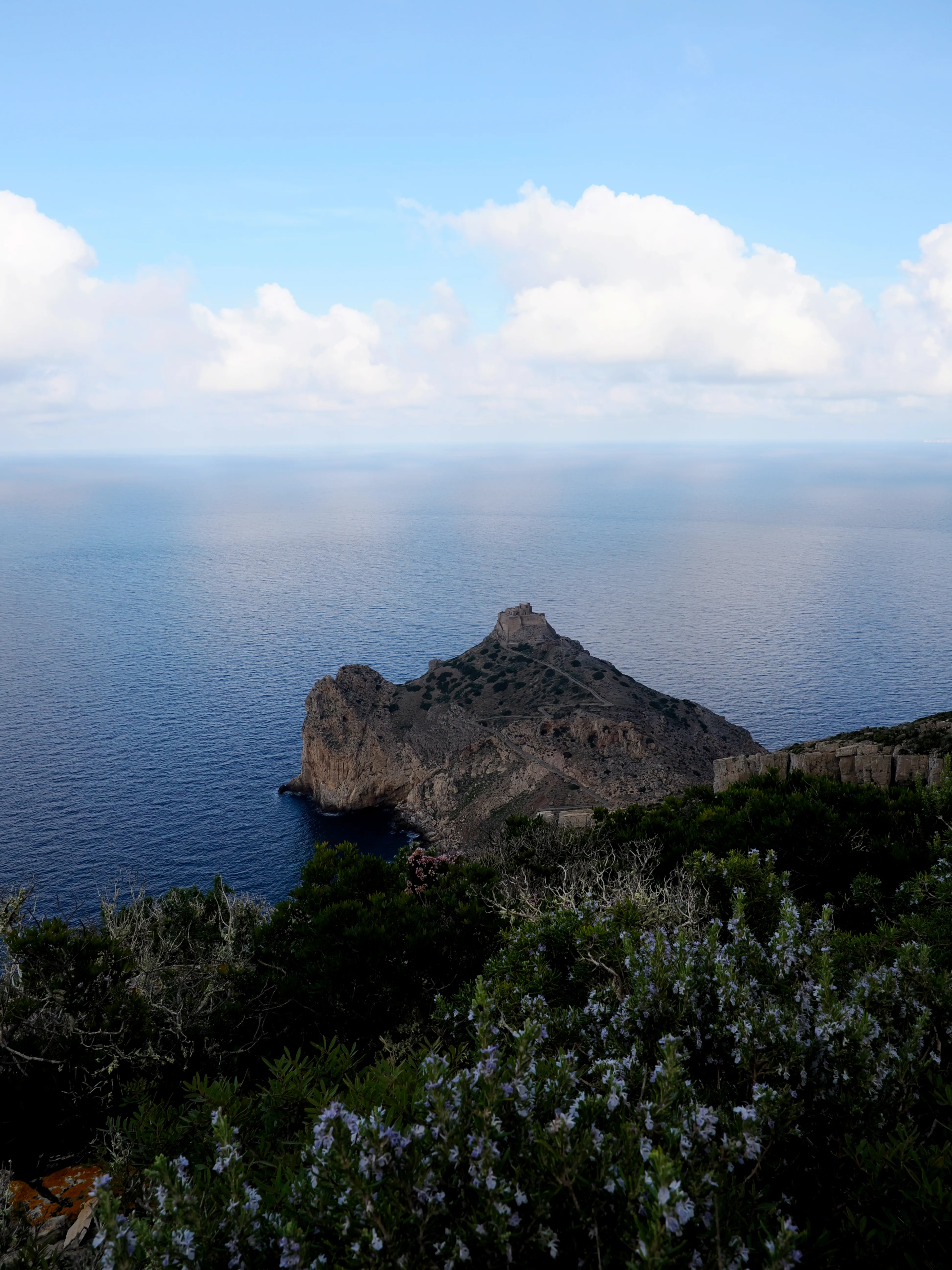 Respiro fiorito dell'autunno a Marettimo. Fotografia del sentire