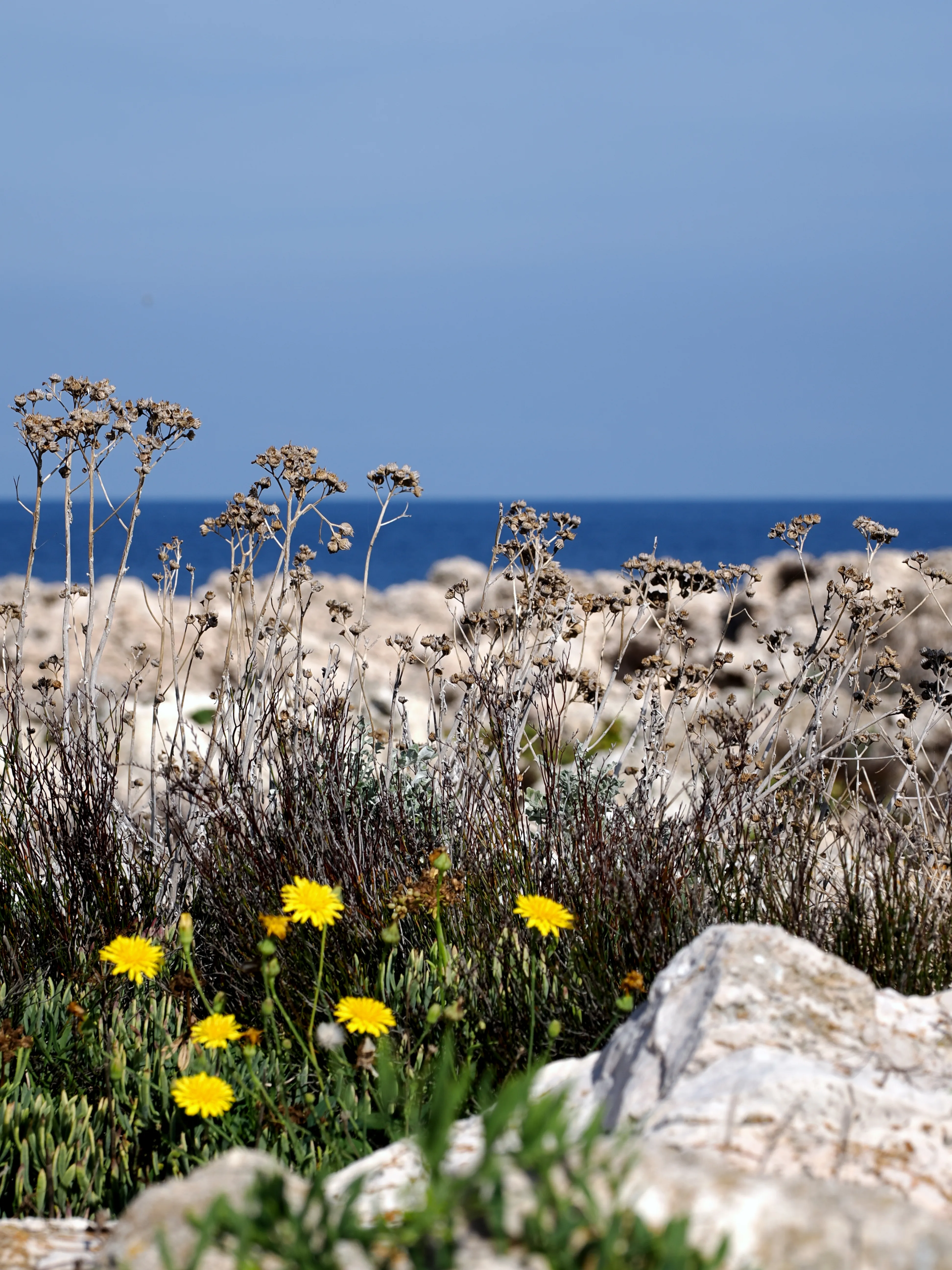 Sguardo a Levanzo. Fotografia del sentire