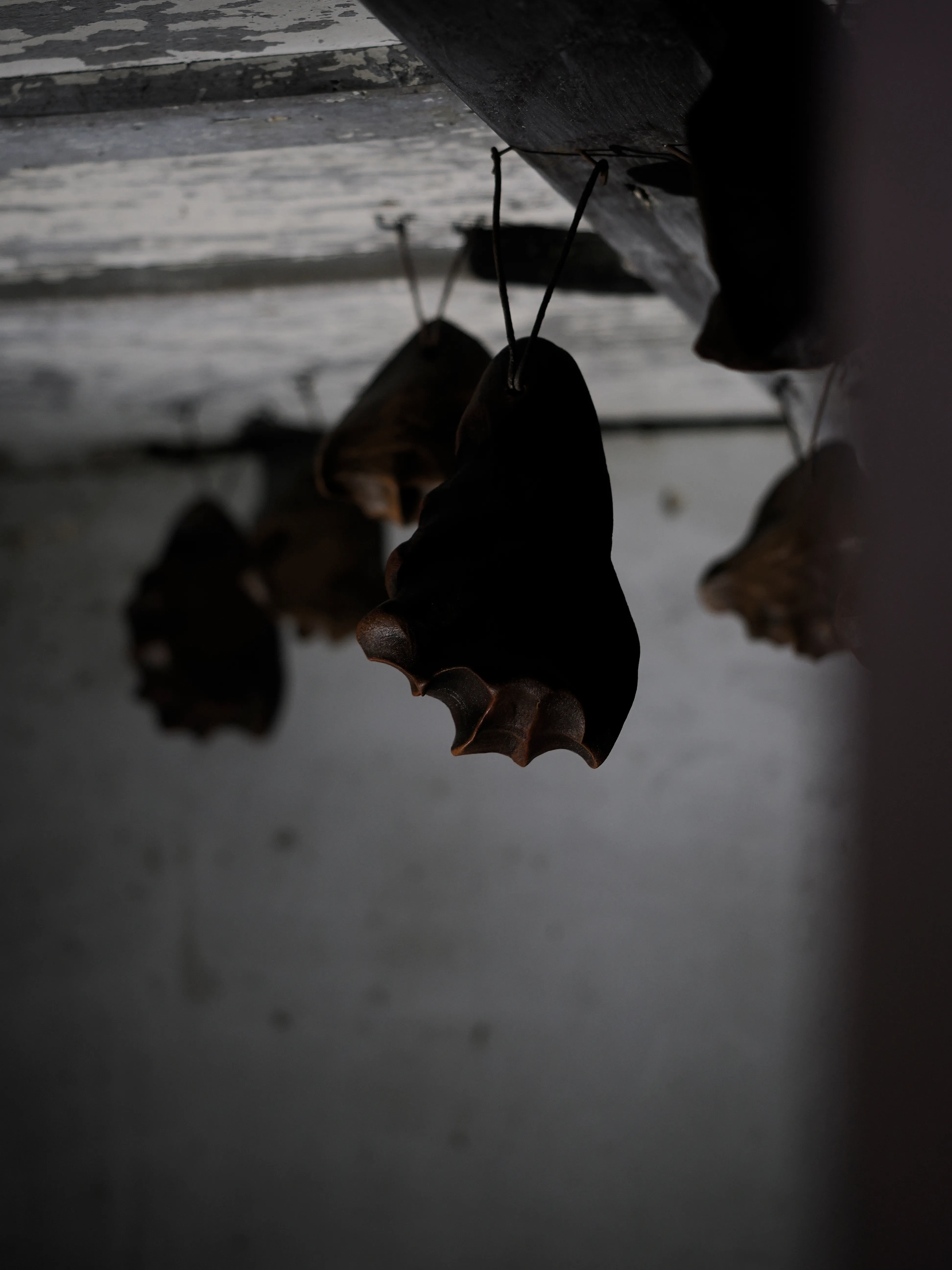 Prima di lasciare questa regale dimora