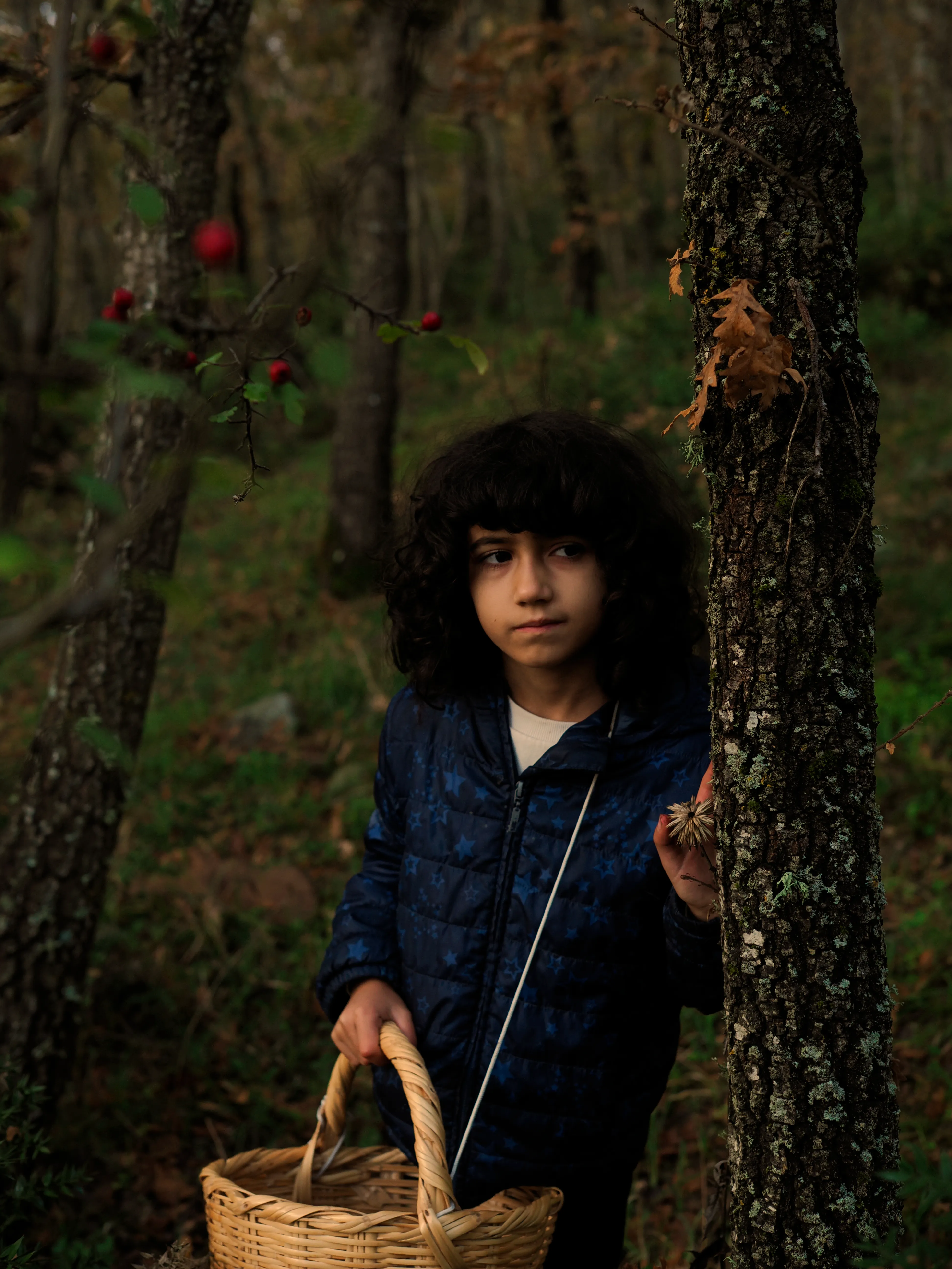 Nel bosco di cerri. La natura che insegna e cresce