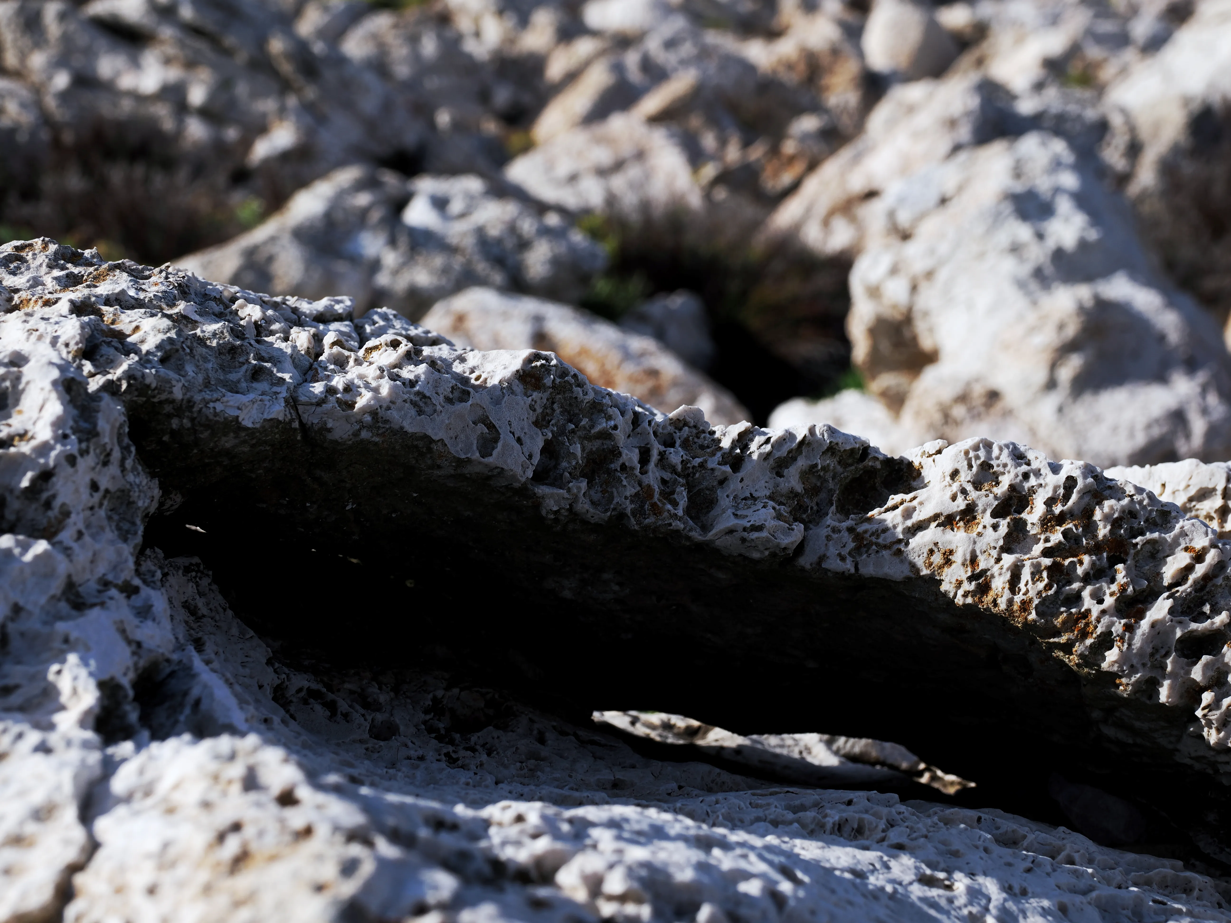 Sguardo a Levanzo. Fotografia del sentire