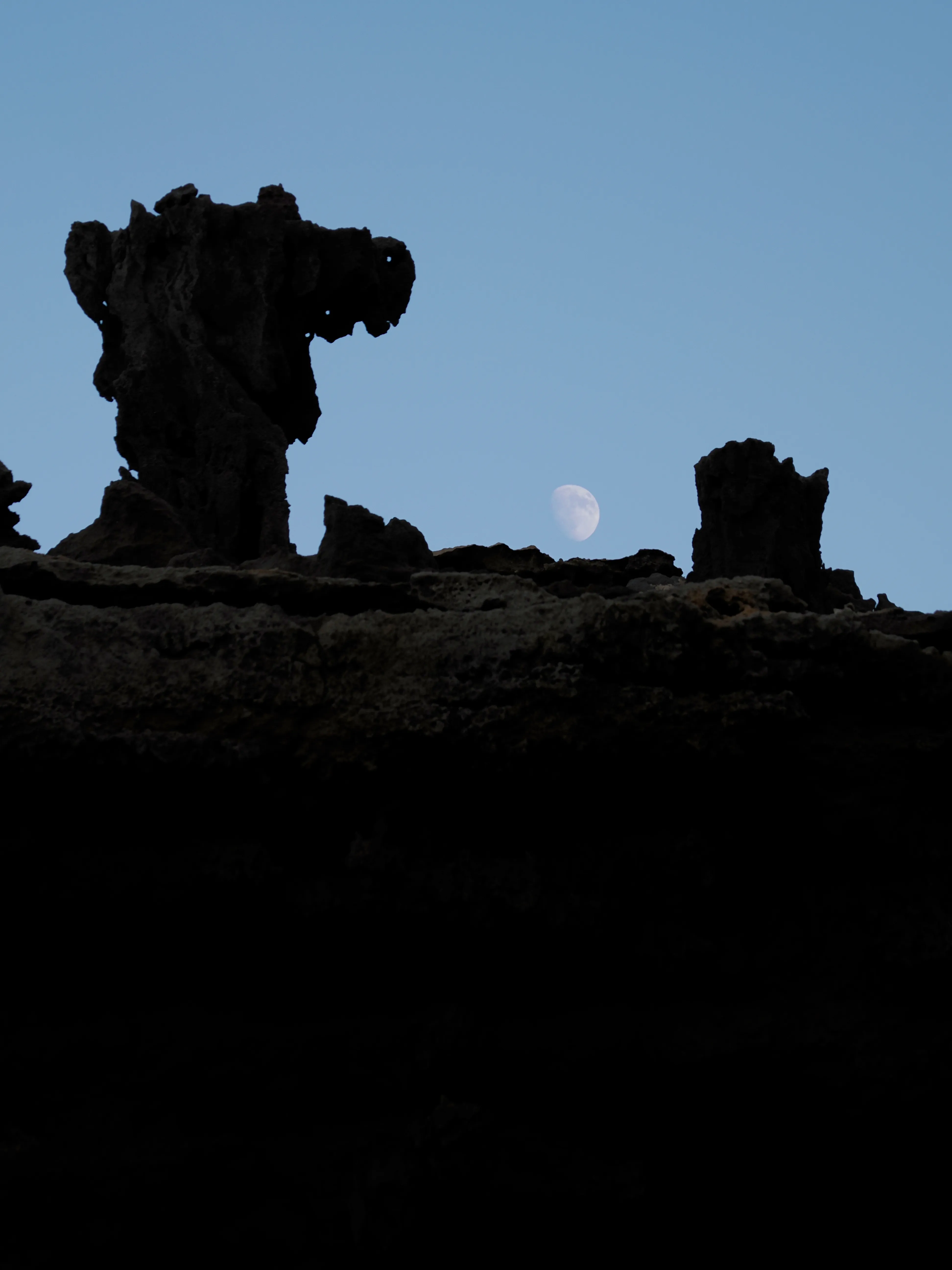 Respiro fiorito dell'autunno a Marettimo. Fotografia del sentire