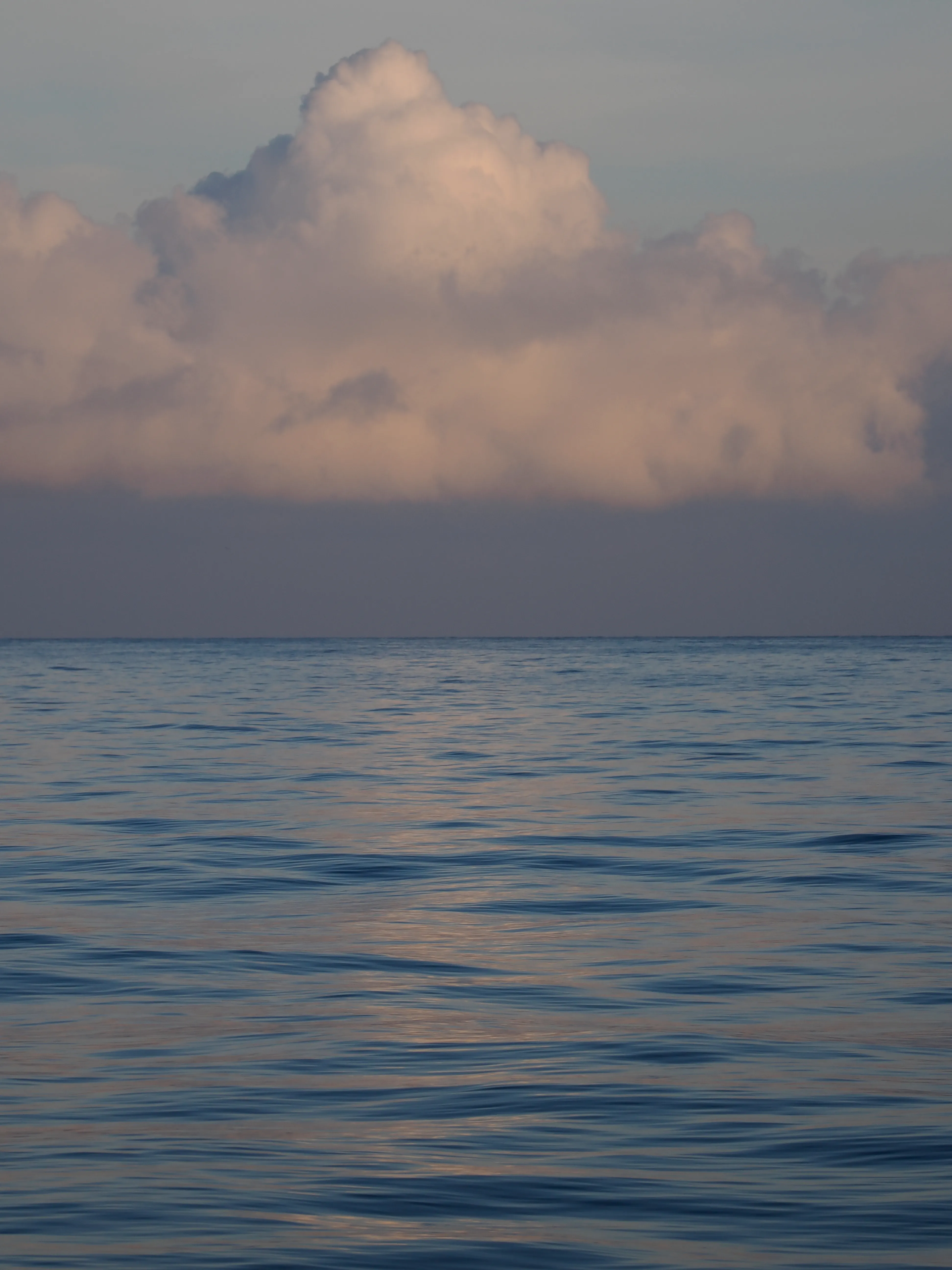 Respiro fiorito dell'autunno a Marettimo. Fotografia del sentire